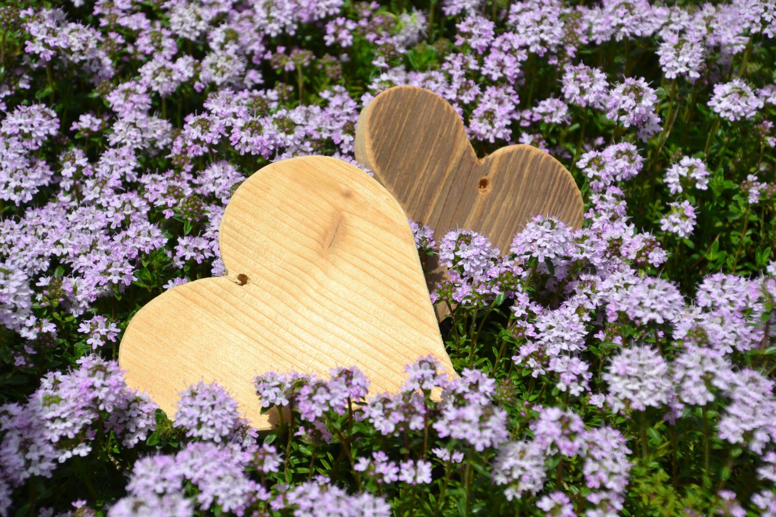 Nikon D3100 sample photo. Love, heart, mother's day photography
