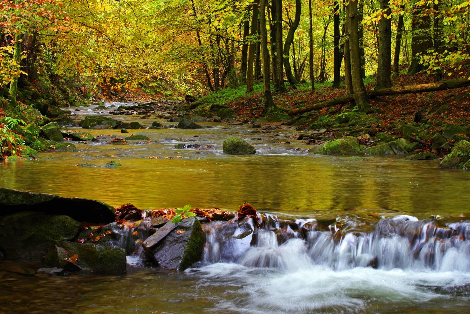 Pentax K-1 sample photo. Poland, bieszczady, stream hylaty photography