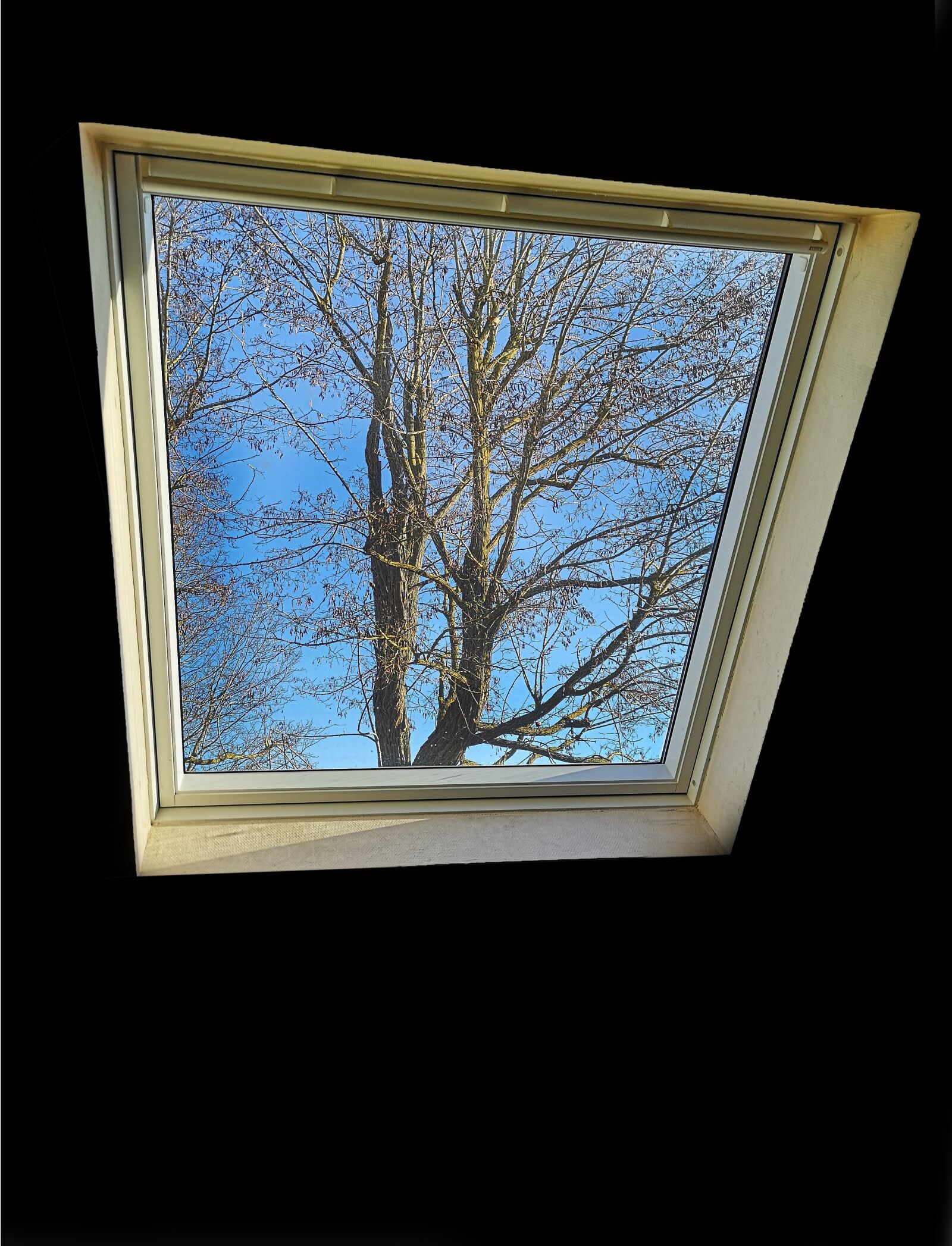 HUAWEI CLT-L29 sample photo. Window, velux, light photography