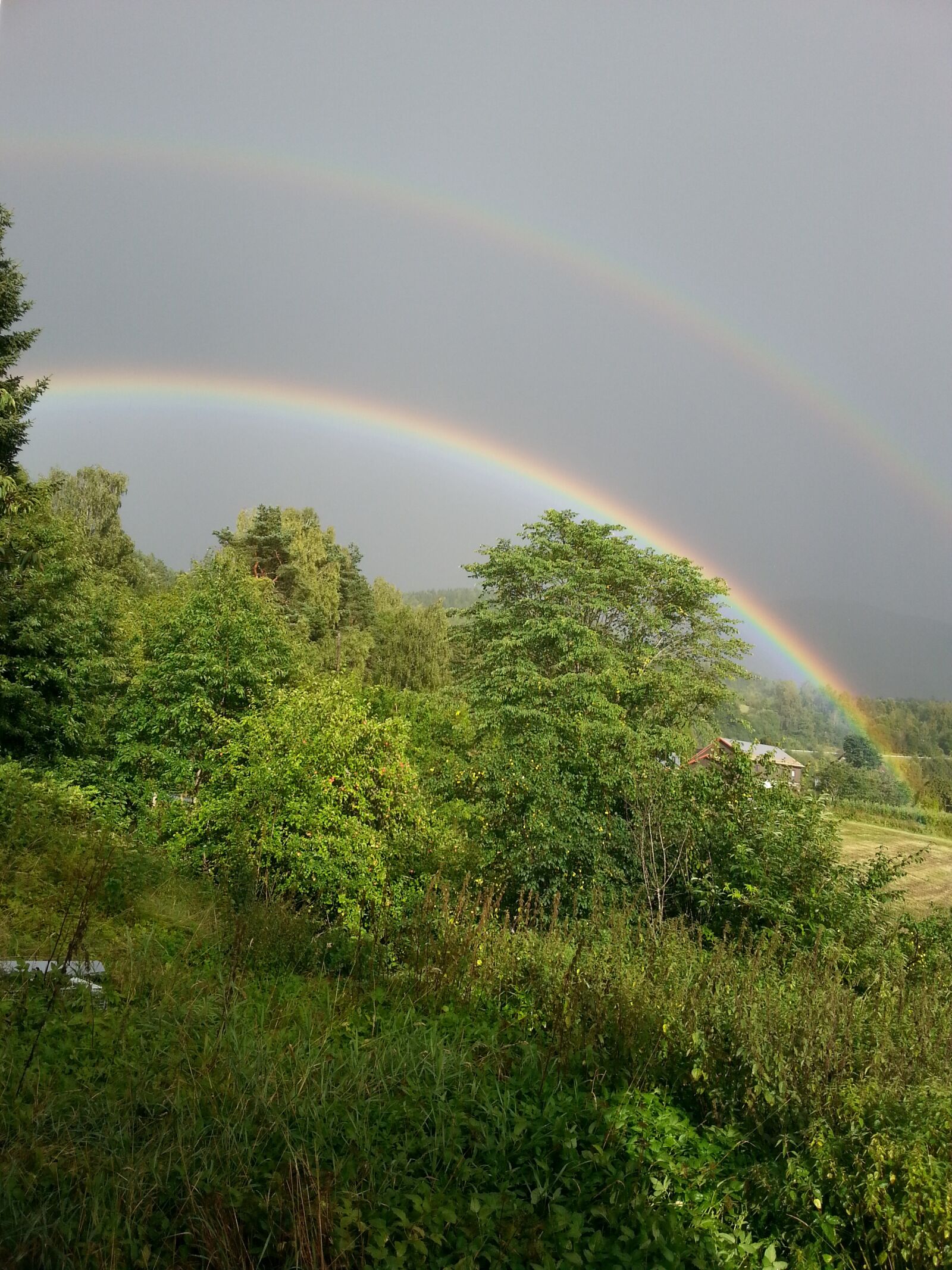 Samsung Galaxy S3 sample photo. Nature, grey, double rainbow photography