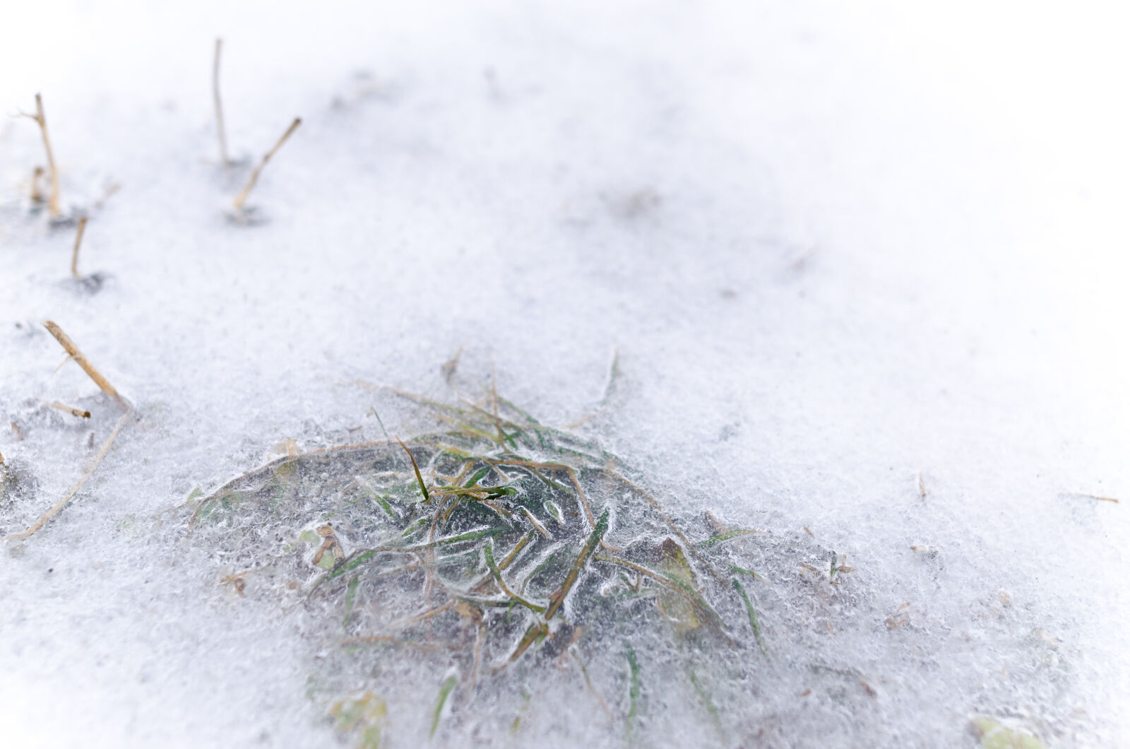 Nikon D5100 sample photo. Abstract, arctic, backdrop, background photography