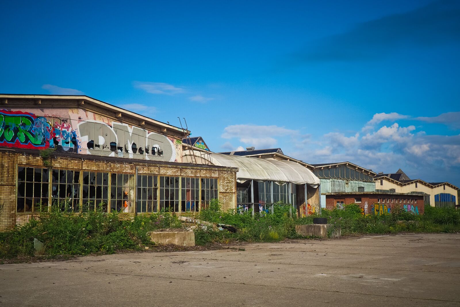 Olympus OM-D E-M10 sample photo. Lost places, pforphoto, old photography