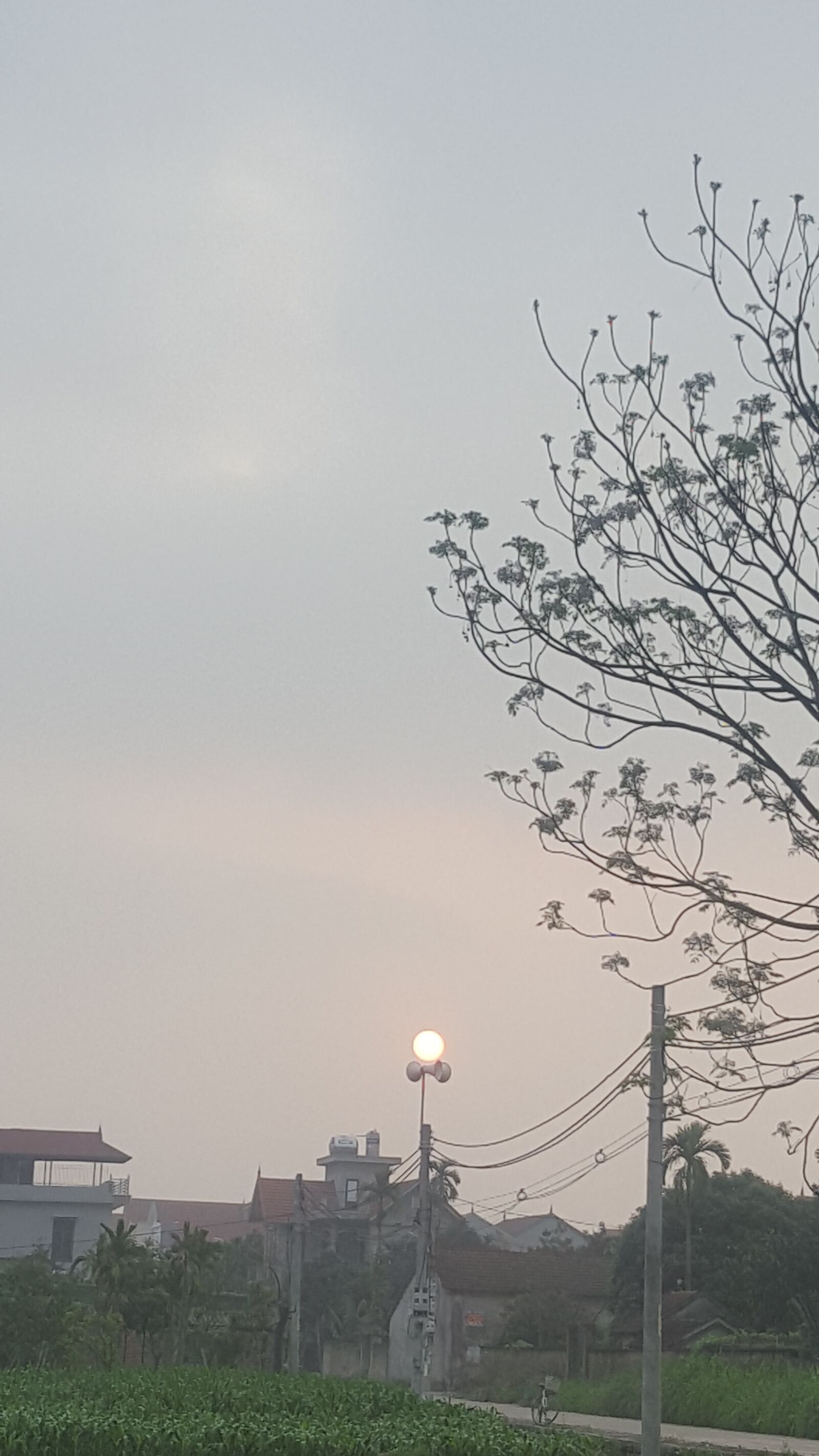 Samsung Galaxy S6 sample photo. The sun hangs on photography