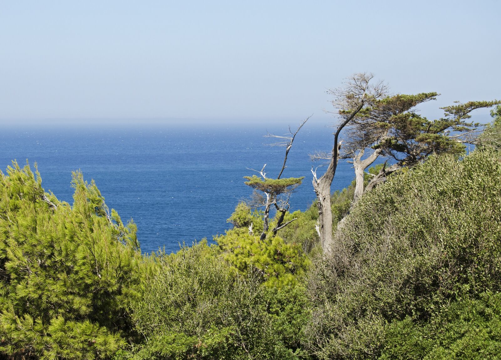 Nikon D5100 sample photo. Seascape, blue sky, sea photography