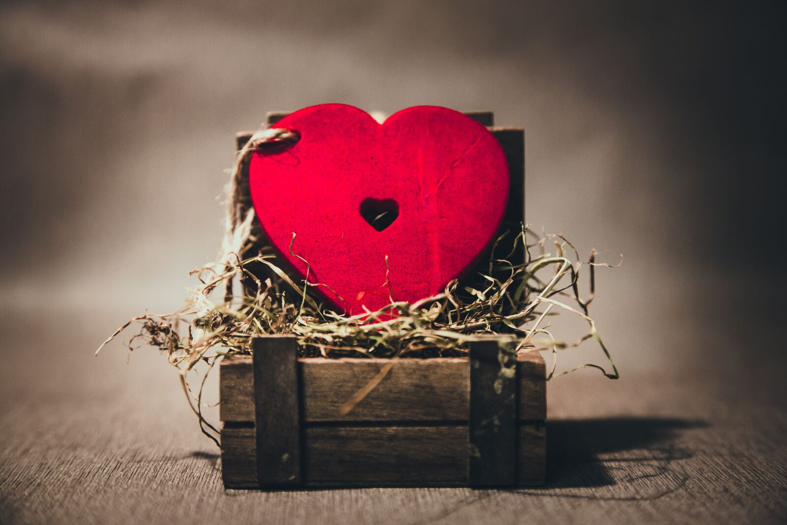Canon EOS 5D Mark III sample photo. Heart, red, love photography