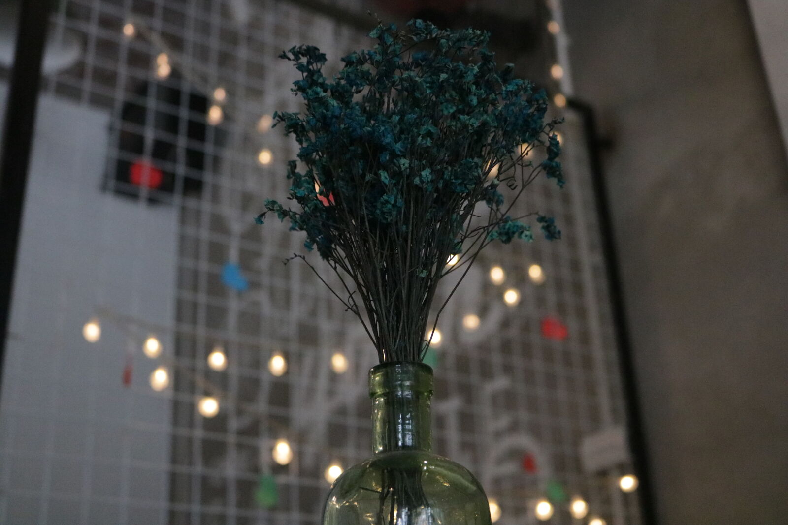 Canon EOS 750D (EOS Rebel T6i / EOS Kiss X8i) sample photo
