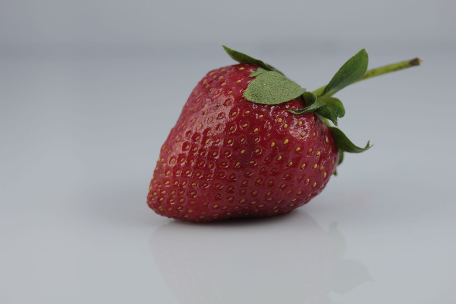 Canon EOS 550D (EOS Rebel T2i / EOS Kiss X4) sample photo. Macro, strawberry, photo photography