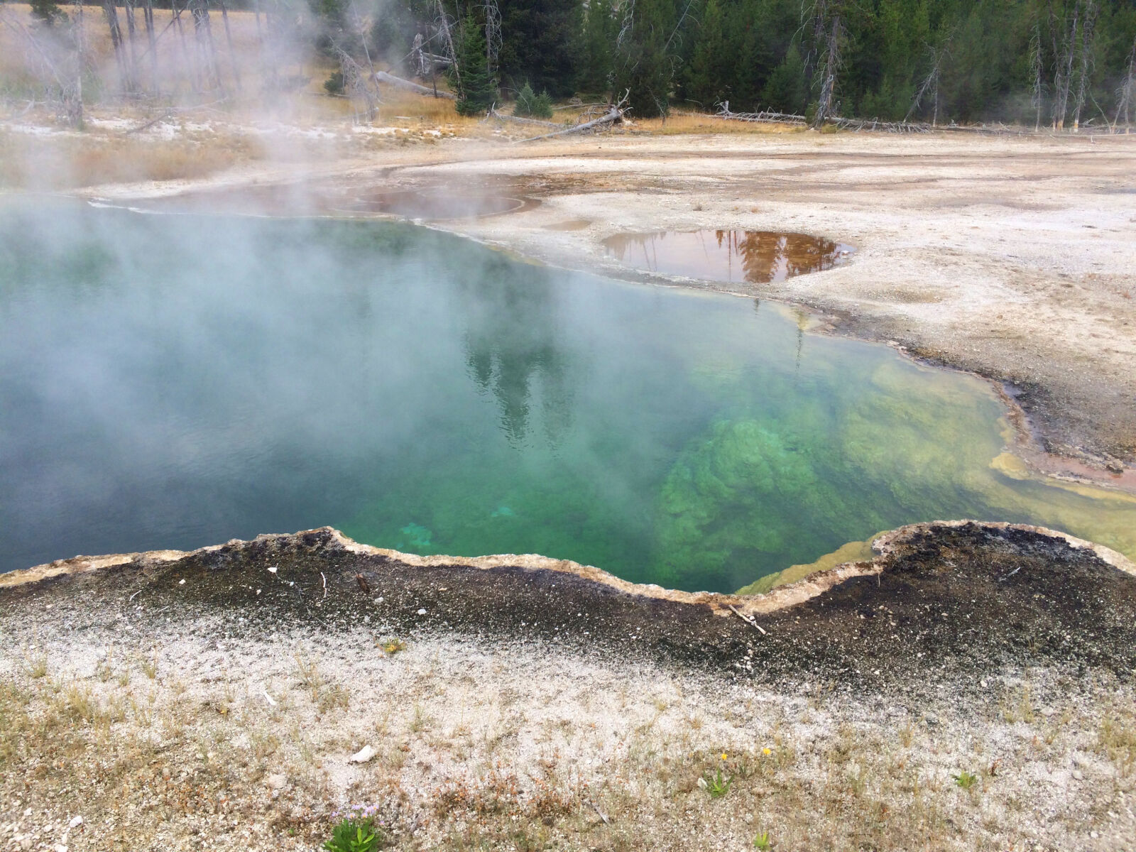 iPhone 5s back camera 4.15mm f/2.2 sample photo. Emerald, green, water, hot photography
