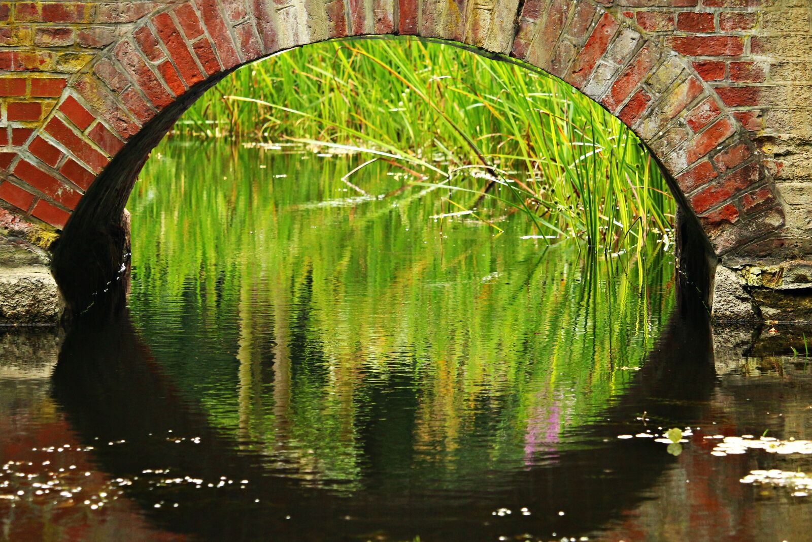 Canon EOS 100D (EOS Rebel SL1 / EOS Kiss X7) sample photo. Bridge, water, arch photography