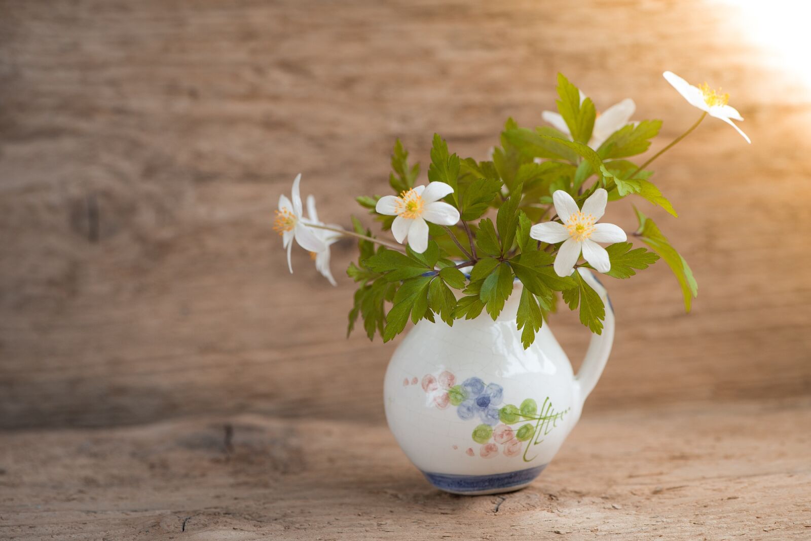Nikon D750 sample photo. Bush-windr schen, ranunculaceae, anemone photography