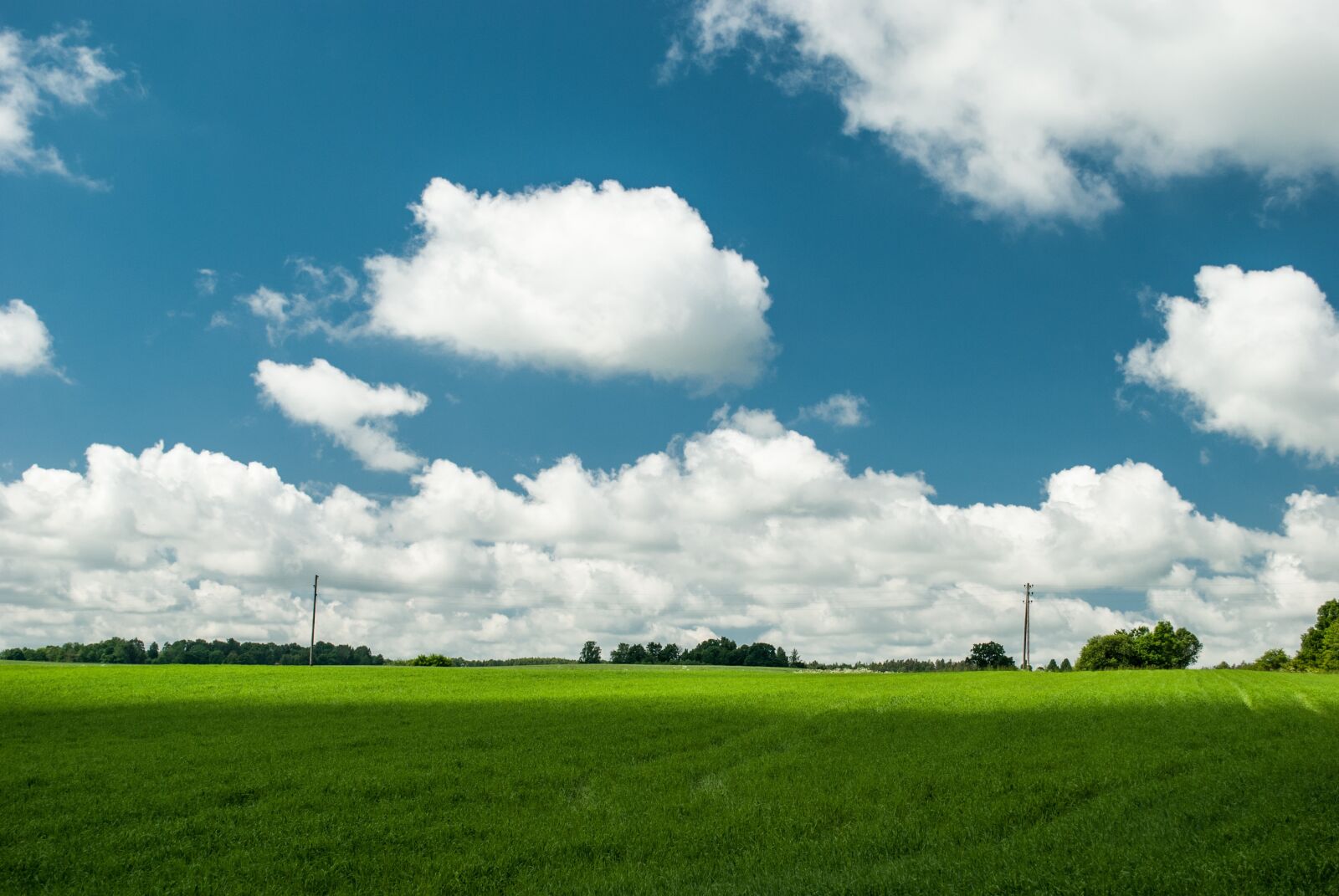 Nikon D80 sample photo. Field, clouds, landscape photography