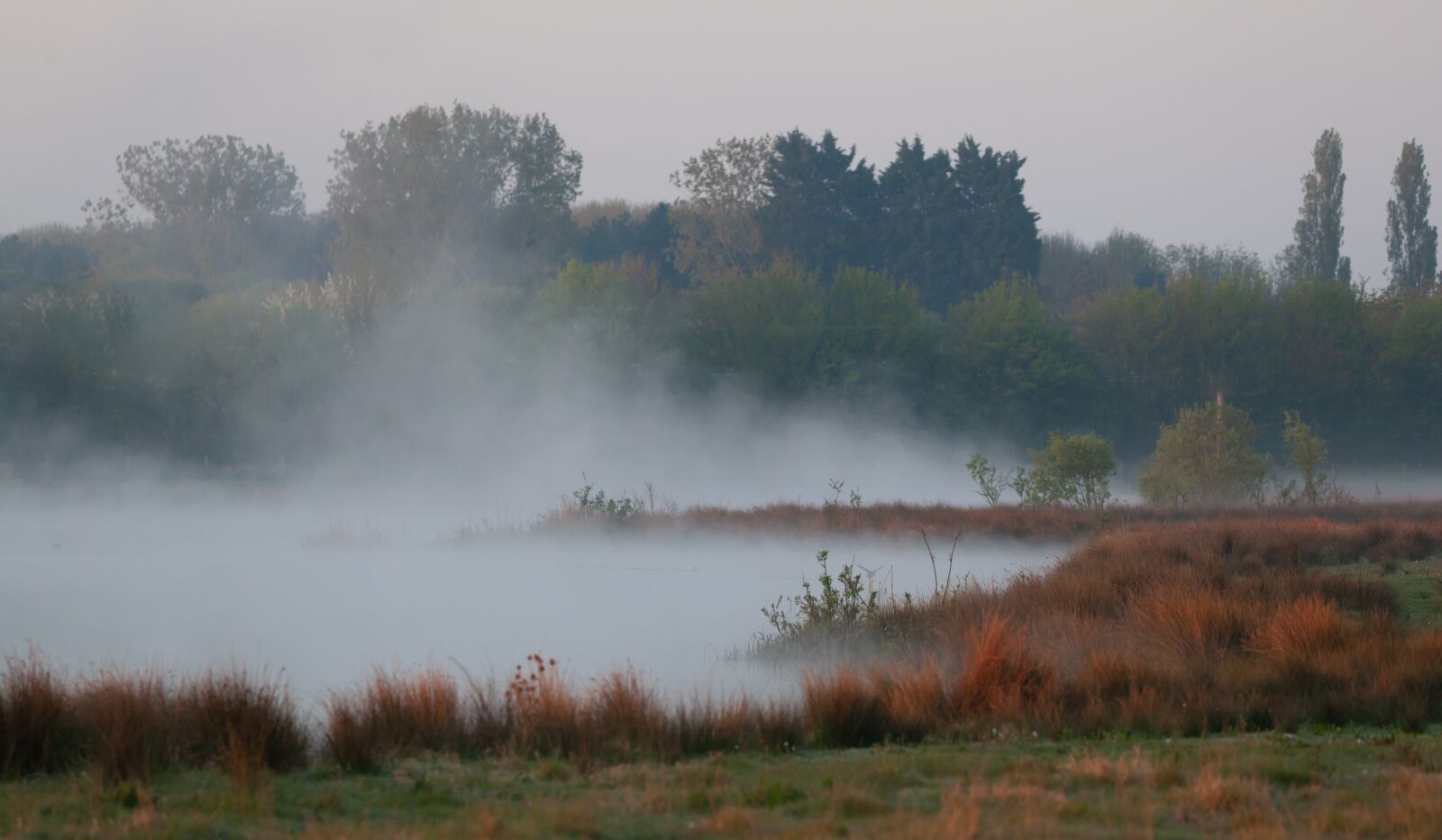 Canon EOS 5D Mark II sample photo. Rural morning, misty, mist photography