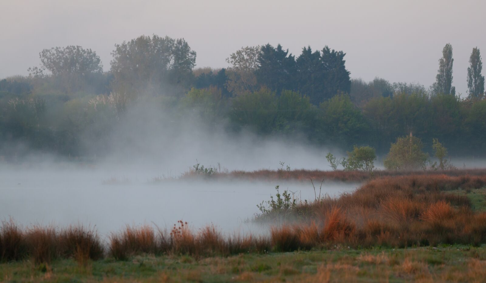 Canon EOS 5D Mark II + Canon EF 100-400mm F4.5-5.6L IS II USM sample photo. Rural morning, misty, mist photography