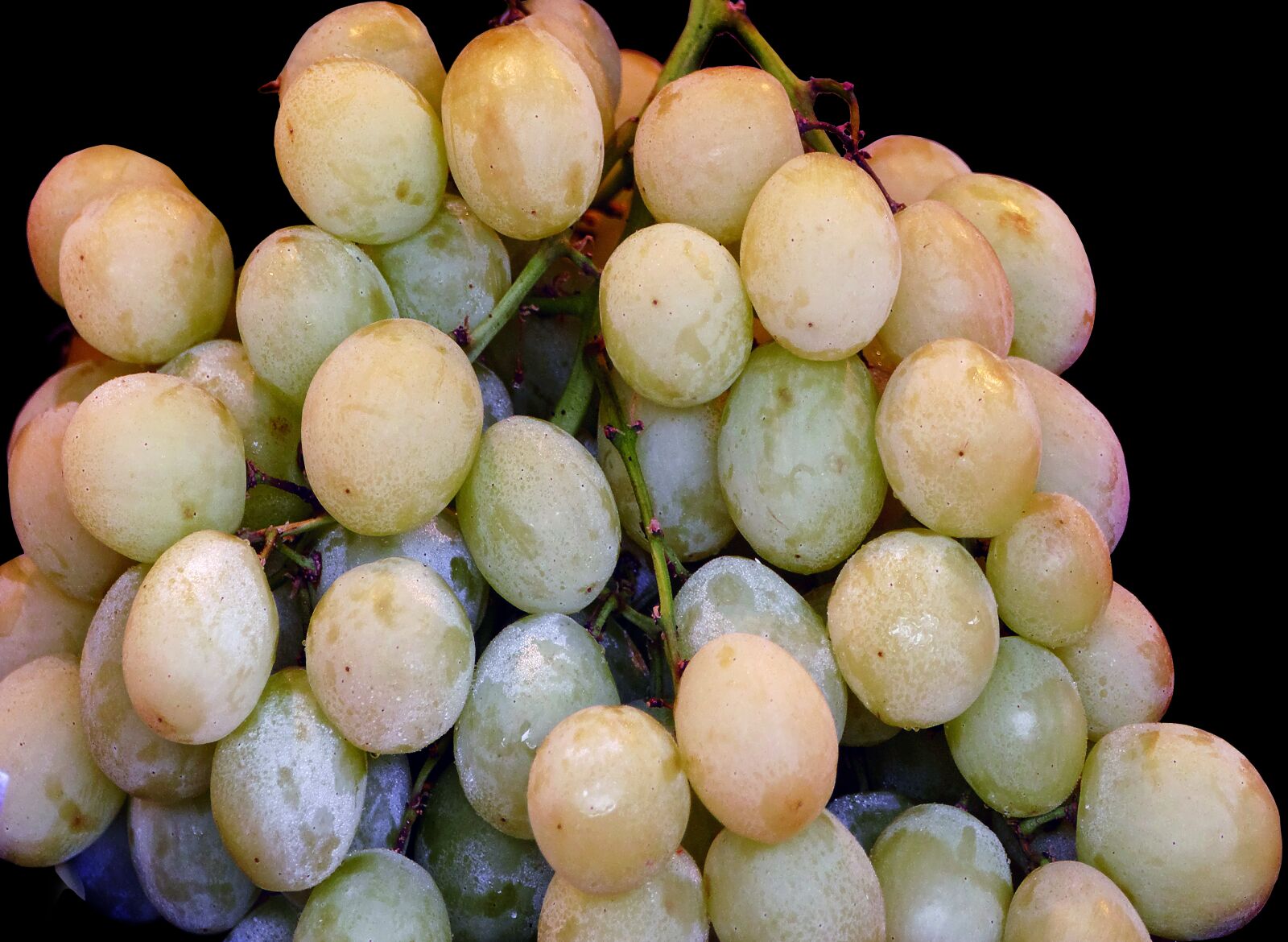 Panasonic Lumix DMC-FZ1000 sample photo. A table grape, wine photography