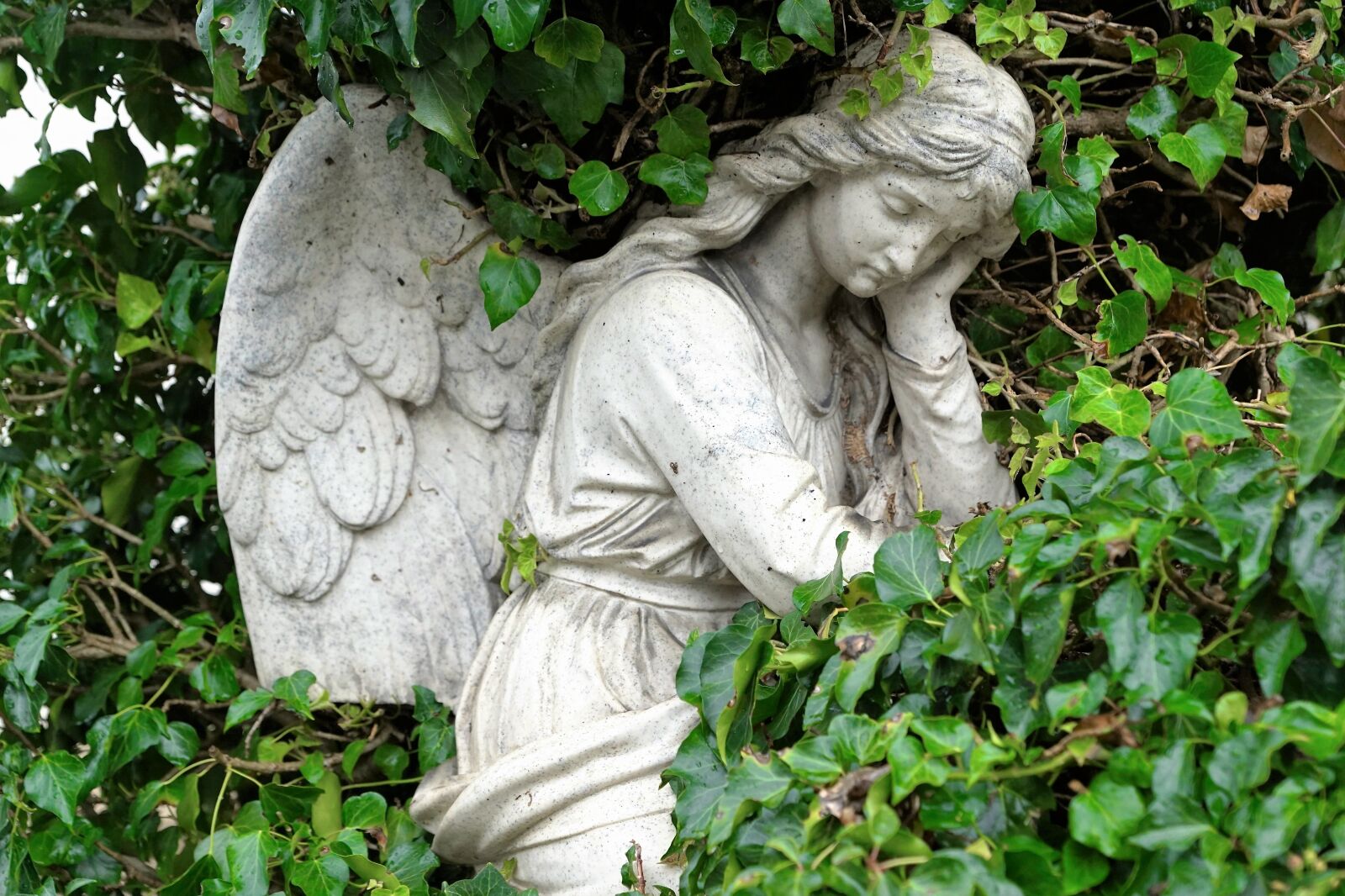 Sony ILCA-77M2 + Sony DT 16-50mm F2.8 SSM sample photo. Angel, god, religion photography