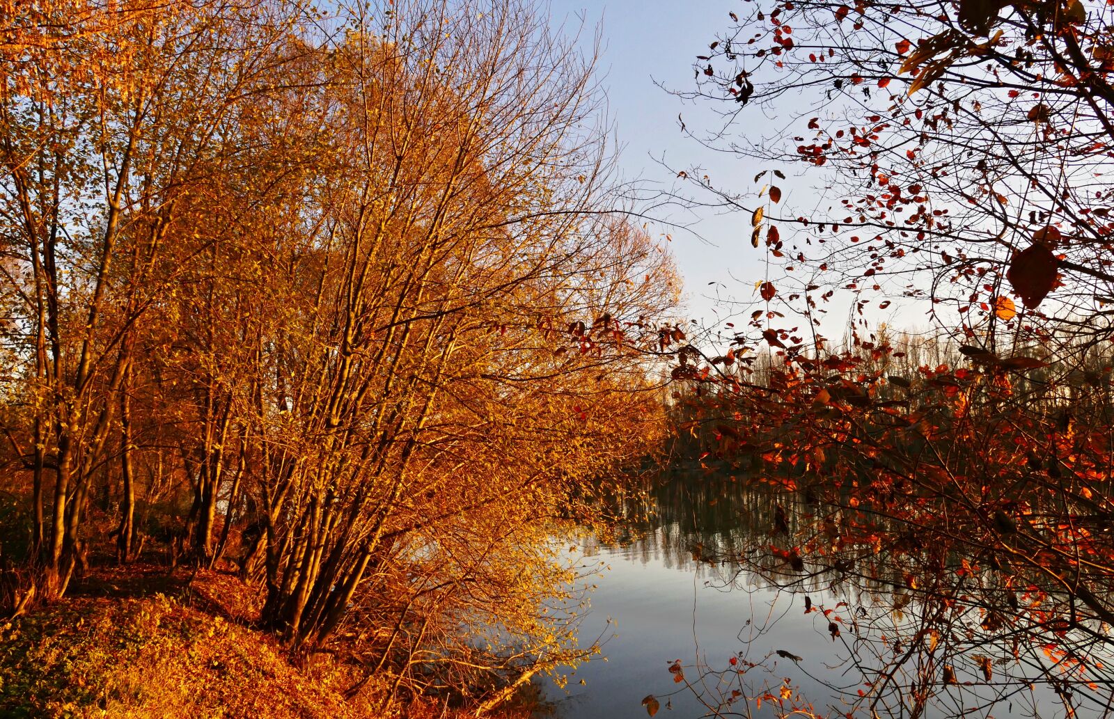 Panasonic Lumix DMC-FZ1000 sample photo. Nature, country, lake photography
