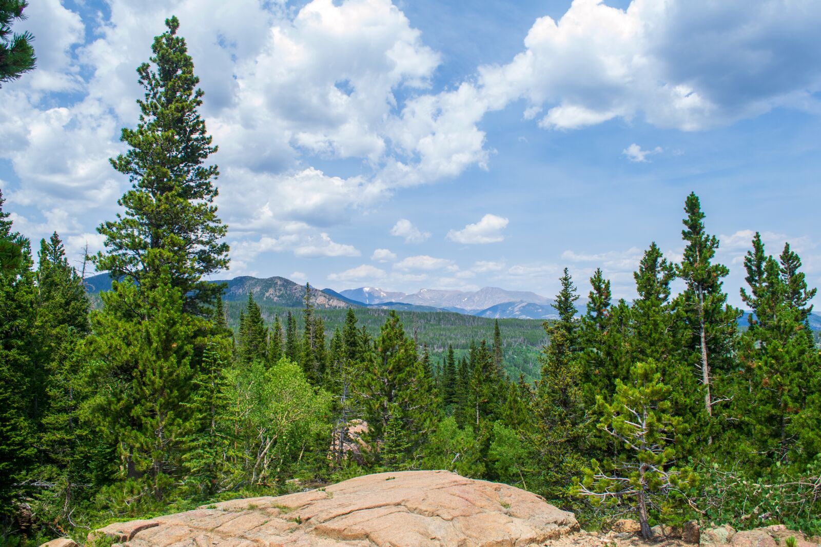 Nikon D3100 sample photo. Rocky mountains, forest, landscape photography
