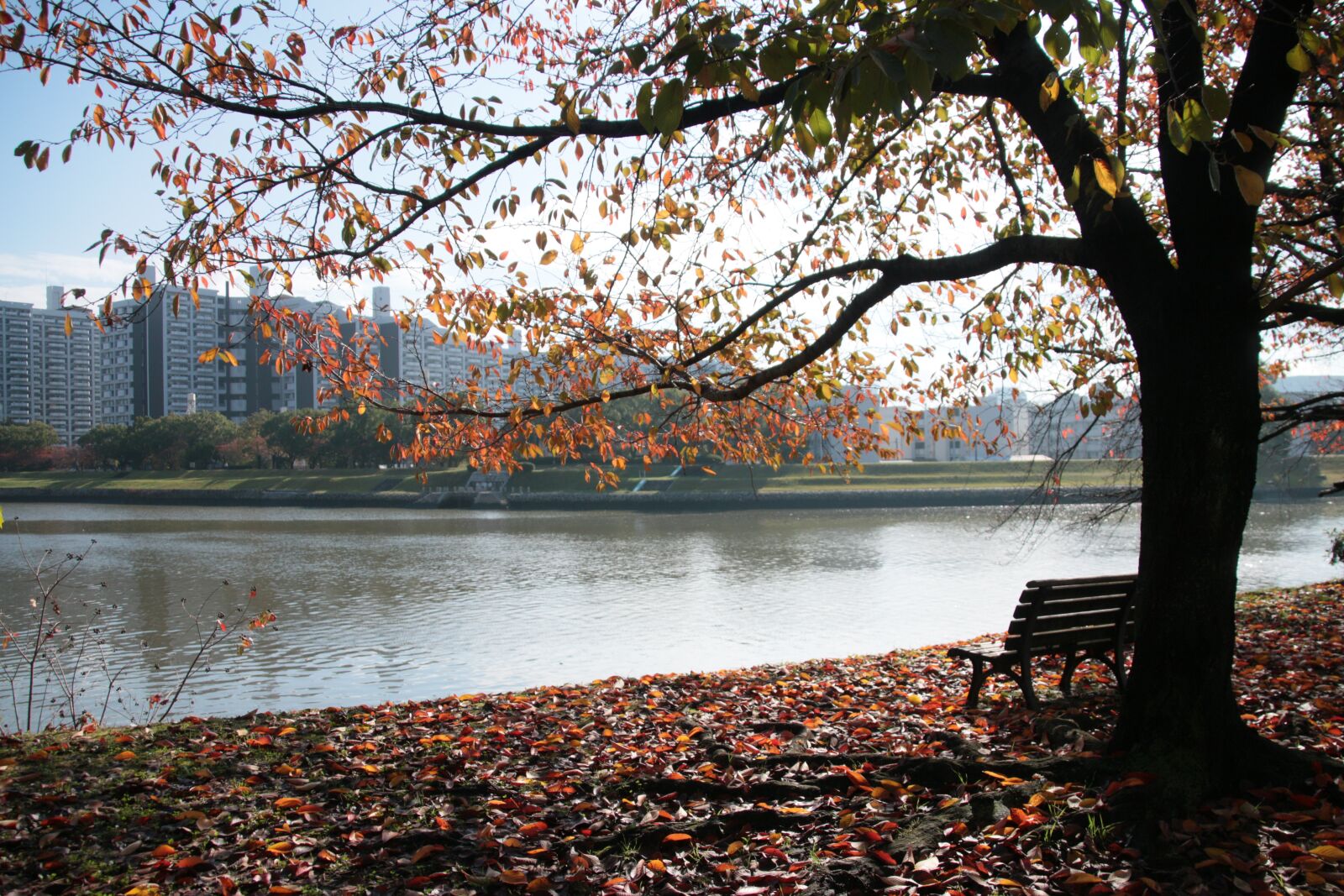 Canon EOS 70D sample photo. Alone, solitude, view photography