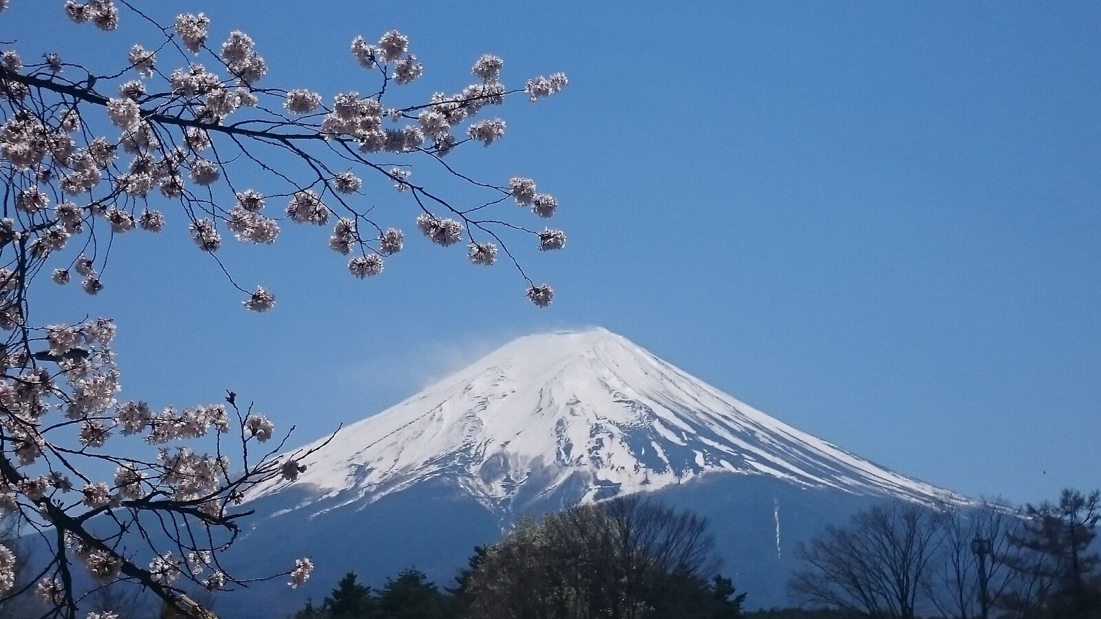 Sony Xperia Z2 sample photo. Mt fuji, spring, cherry photography