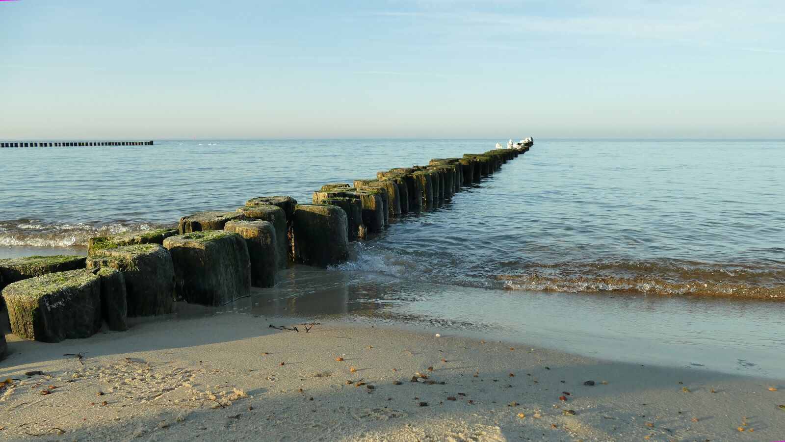 Panasonic Lumix DMC-FZ1000 sample photo. Baltic sea, r gen photography