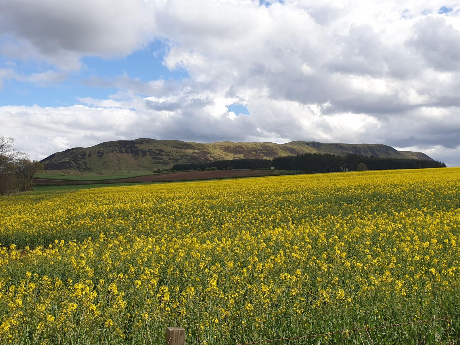 Samsung Galaxy S9 sample photo. Lomond hills, scotland, landscape photography