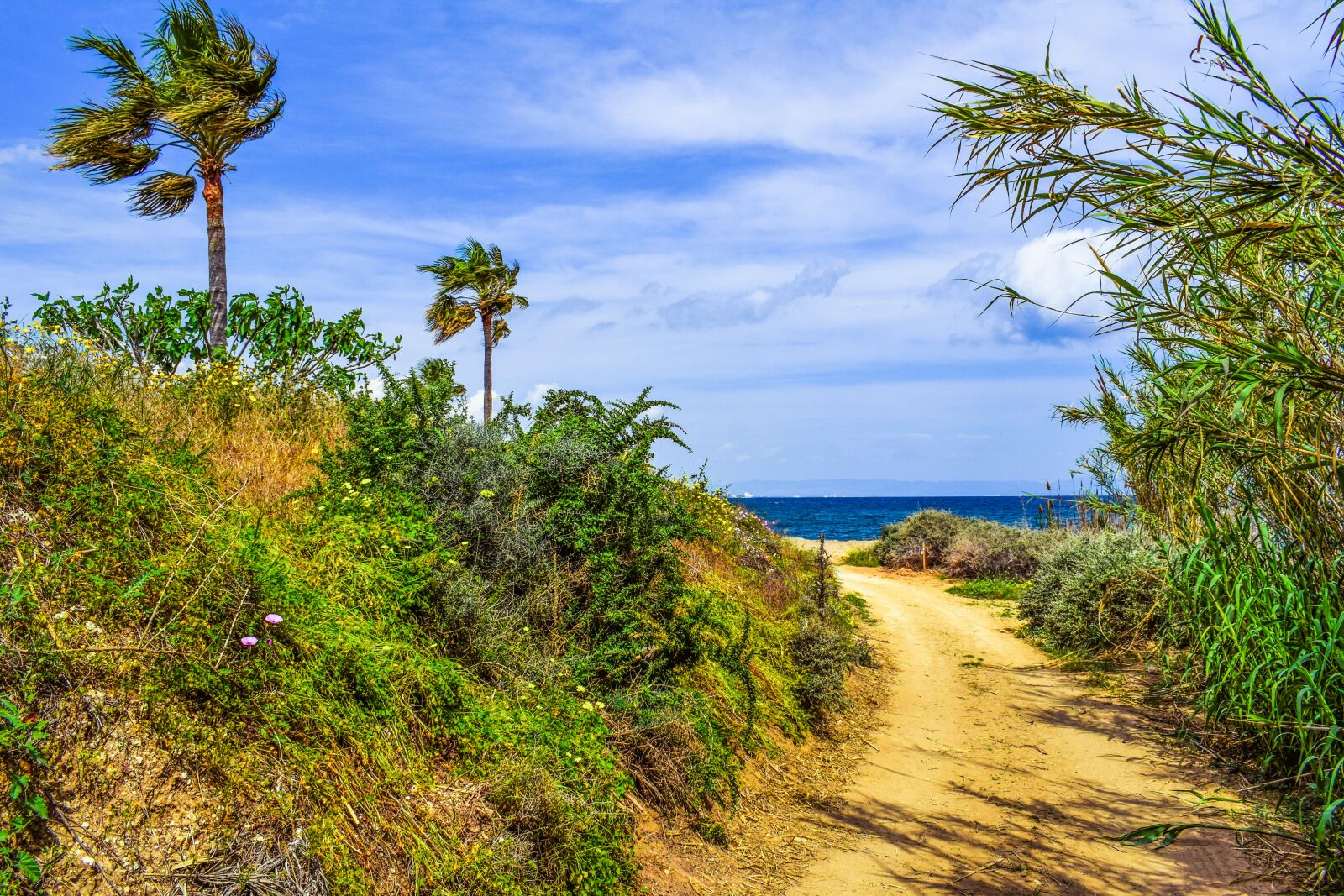 Nikon D3300 sample photo. Coastal path, landscape, scenery photography