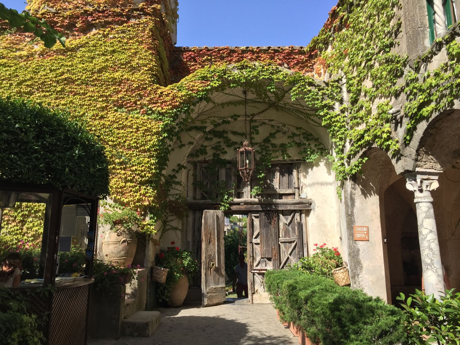 iPhone 6 Plus back camera 4.15mm f/2.2 sample photo. Climbing ivy, architecture, ivy photography