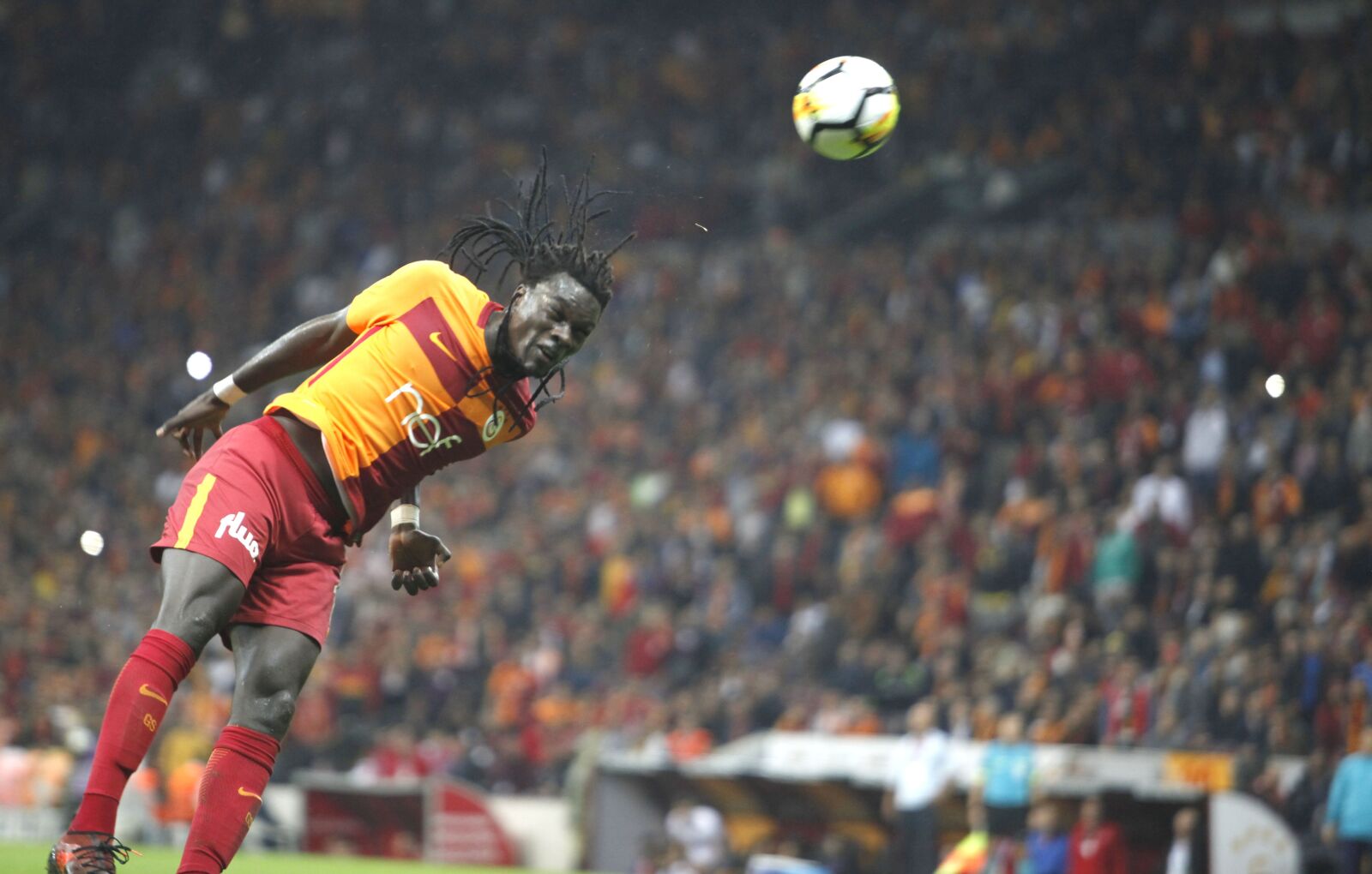 Canon EOS 5D Mark II sample photo. Bafetimbi gomis, galatasaray, lion photography
