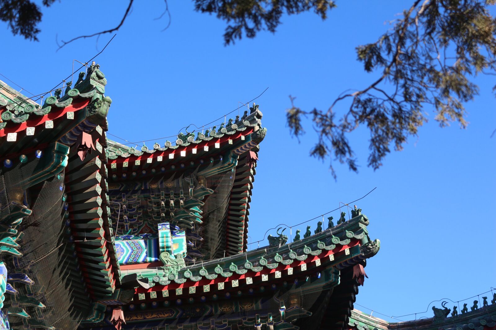 Canon EOS 650D (EOS Rebel T4i / EOS Kiss X6i) sample photo. The national palace museum photography