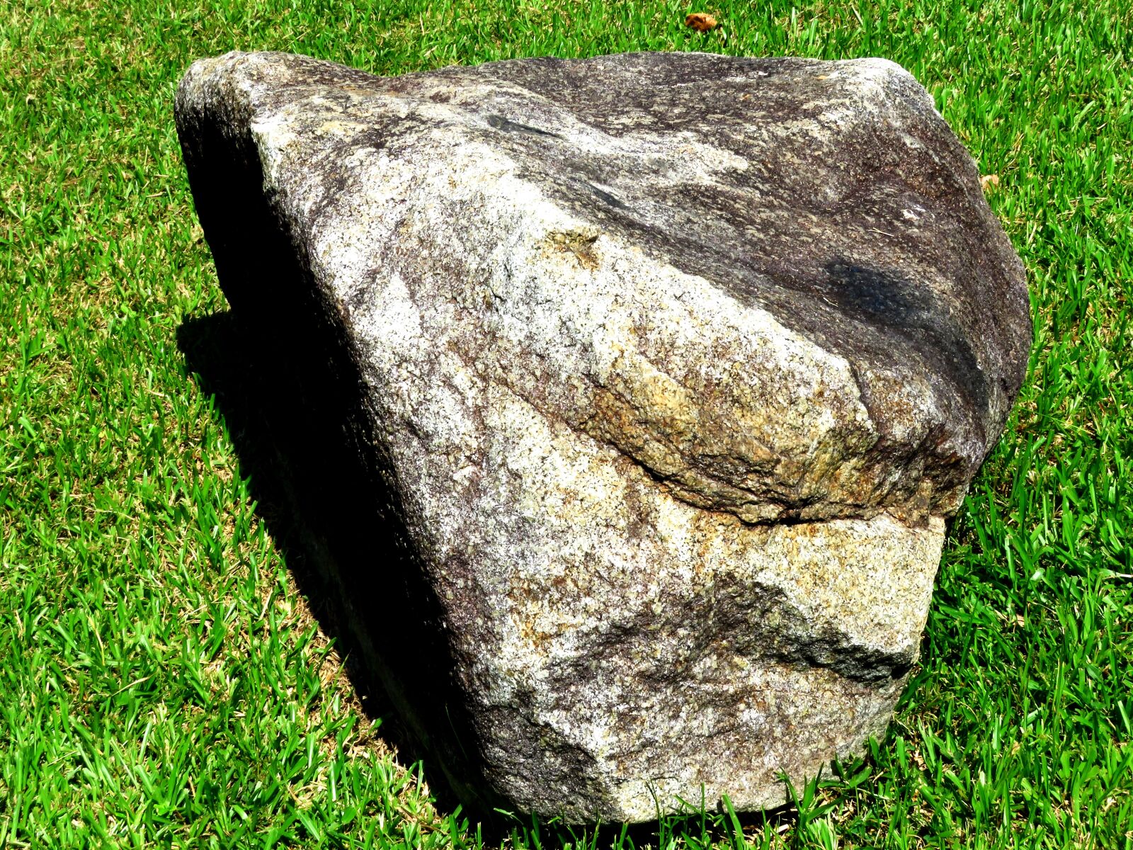 Canon PowerShot SX60 HS sample photo