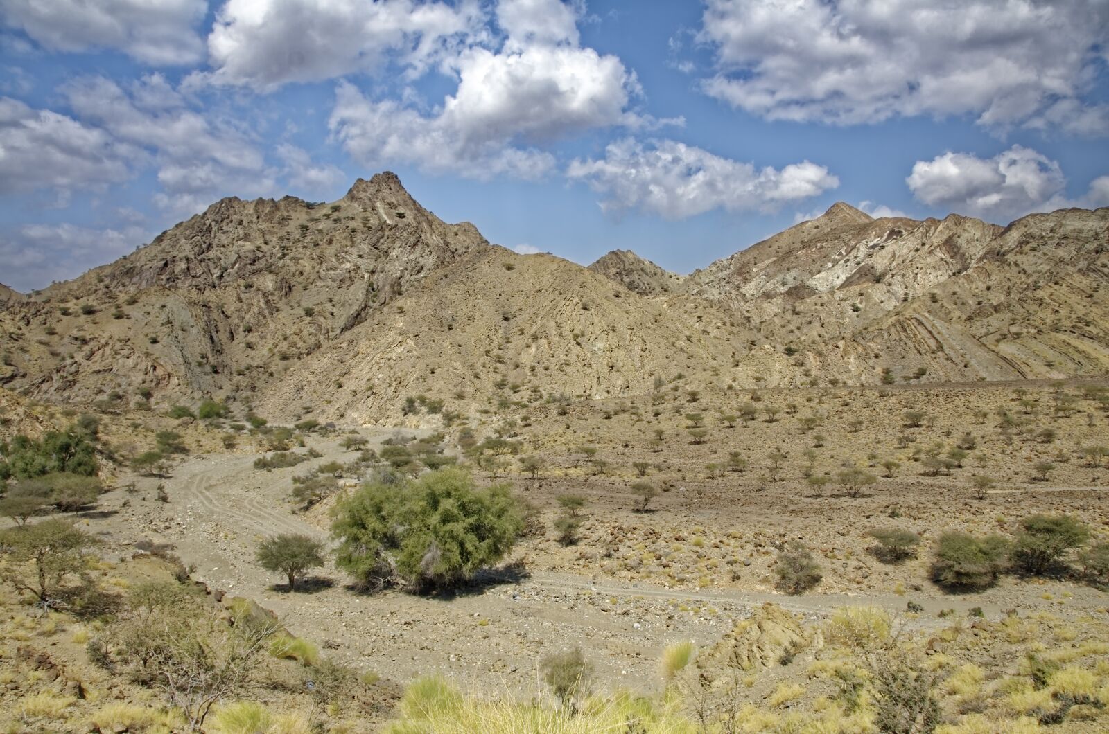 Nikon D7000 sample photo. Oman, region of al-batina photography