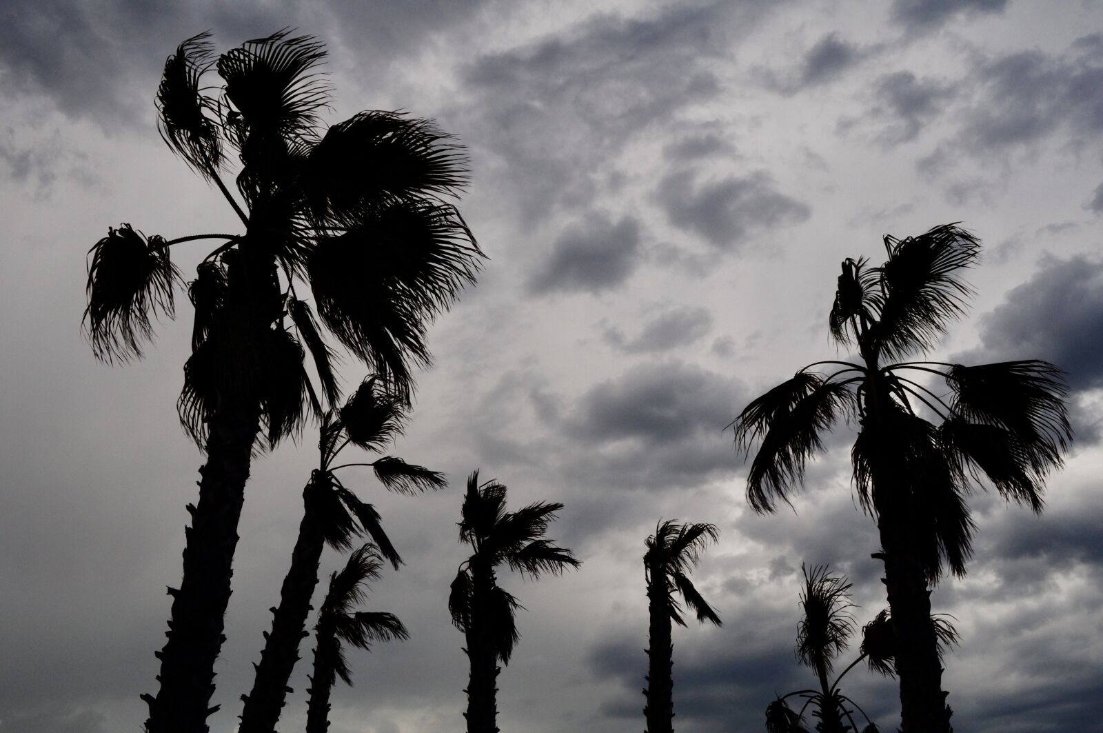 Nikon D5000 sample photo. Storm, sky, clouds photography