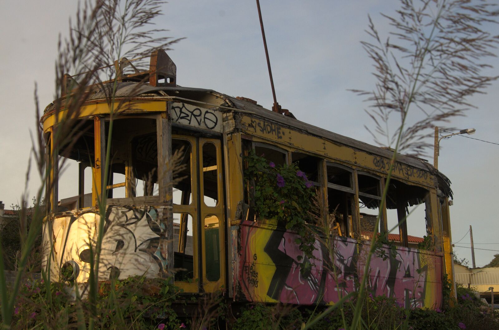 Nikon D5100 sample photo. Tram, graphite, abandoned photography