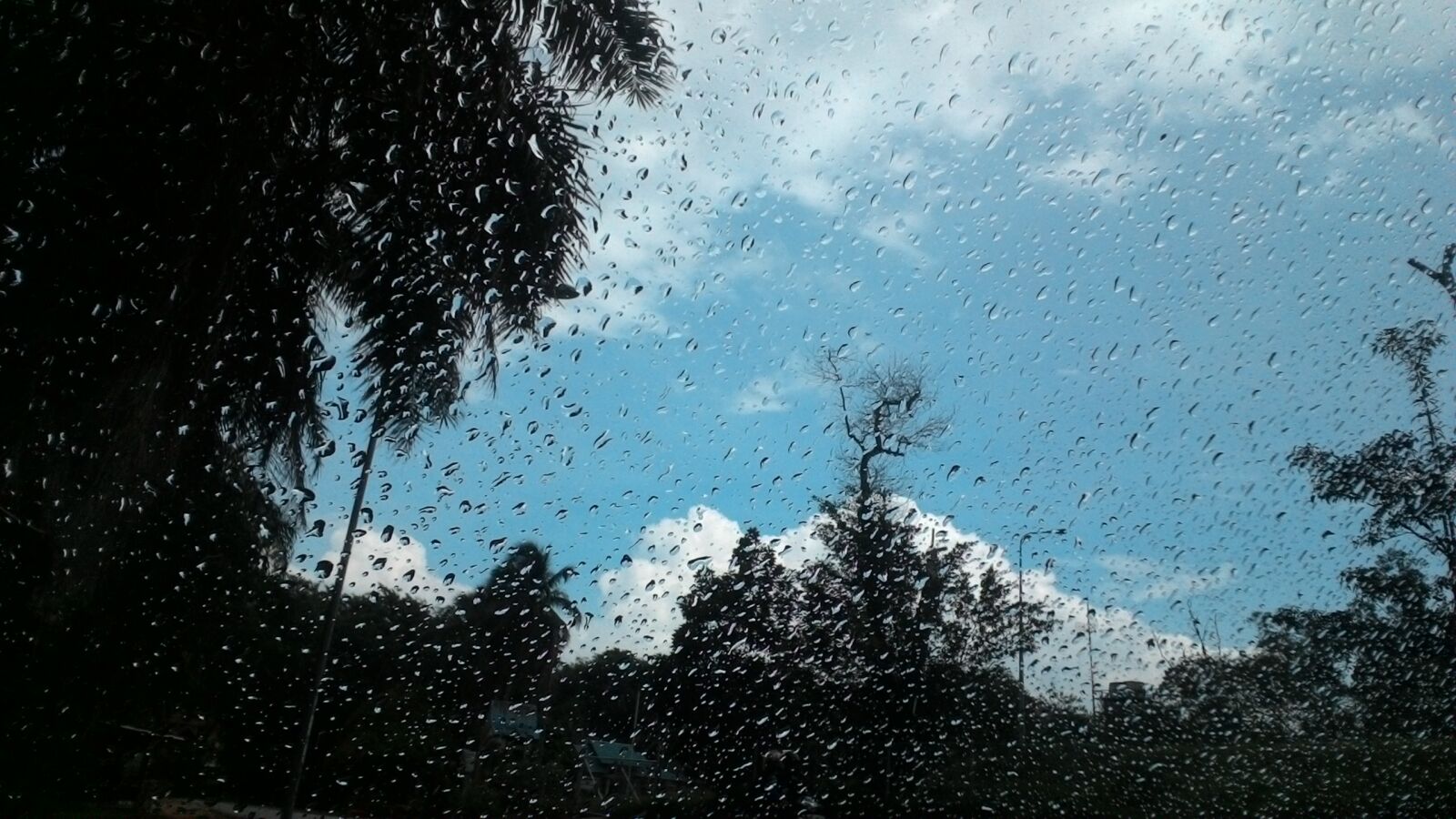 ASUS Z007 sample photo. Rain photography