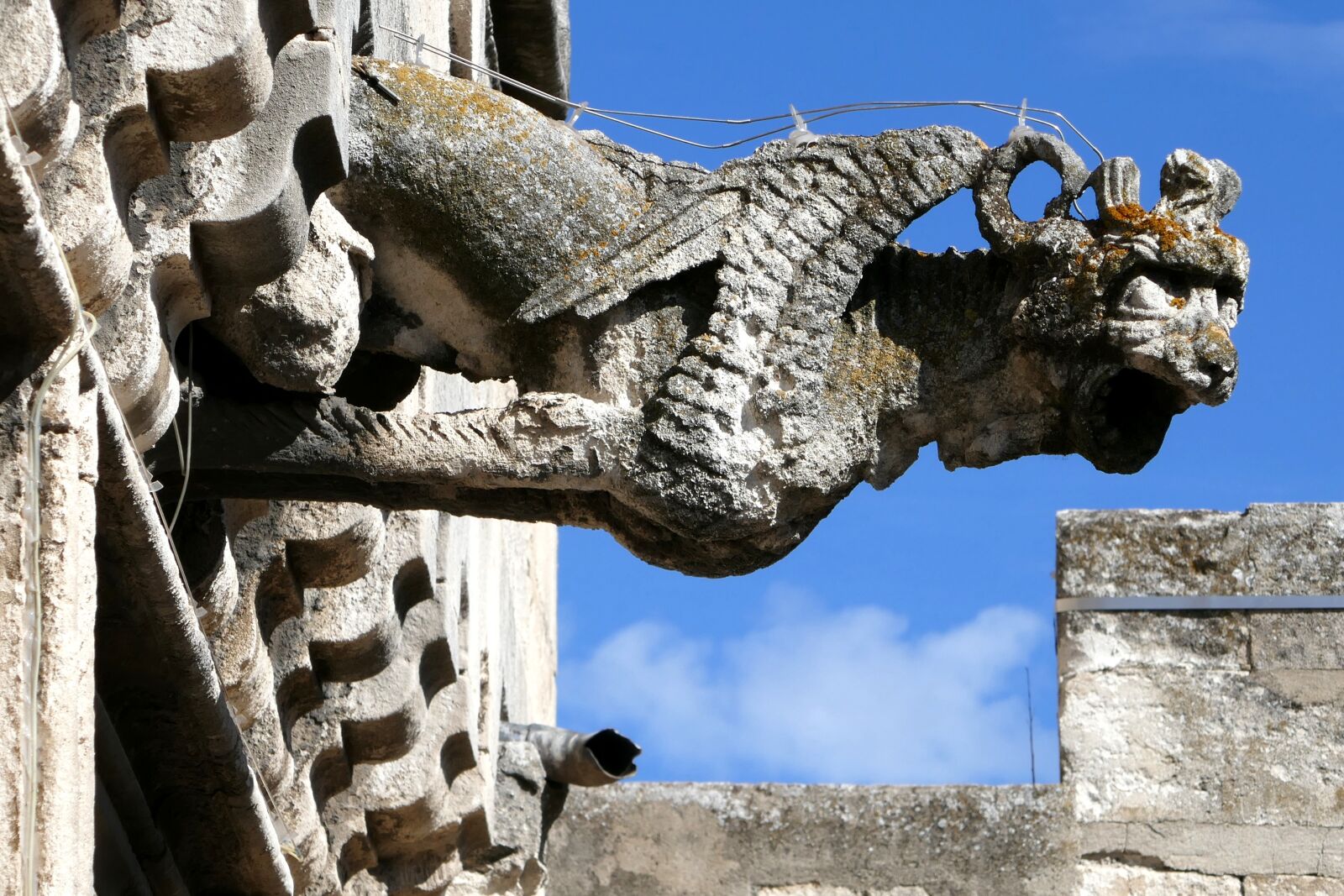 Panasonic Lumix DMC-ZS100 (Lumix DMC-TZ100) sample photo. Gargoyle, mus e r photography