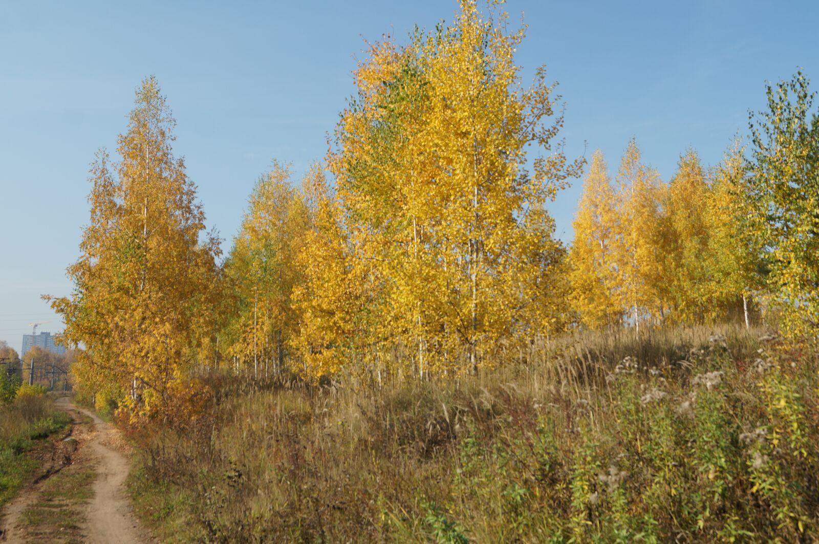 Sony SLT-A57 sample photo. Autumn, beauty, nature photography