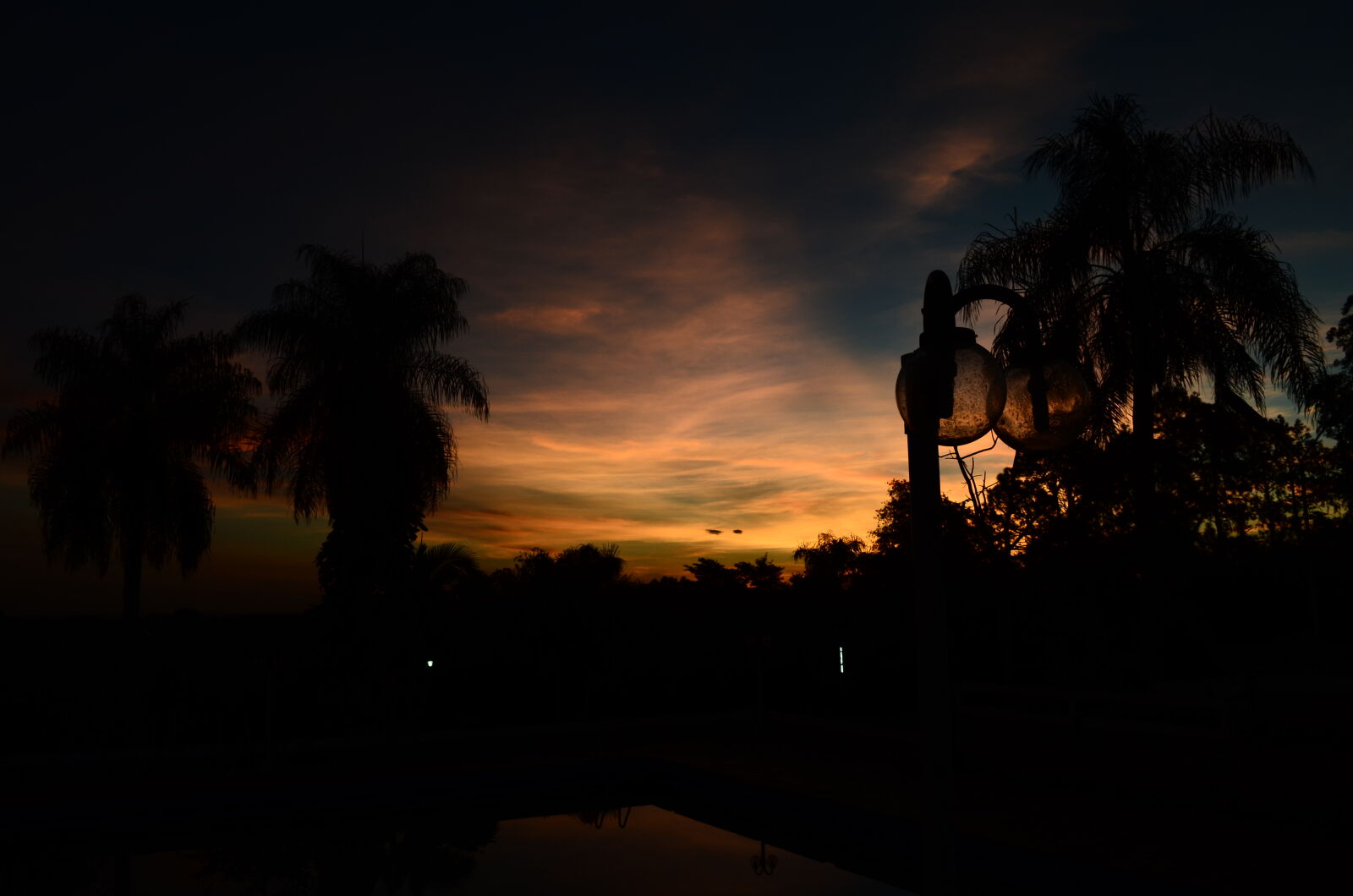 Nikon D5100 sample photo