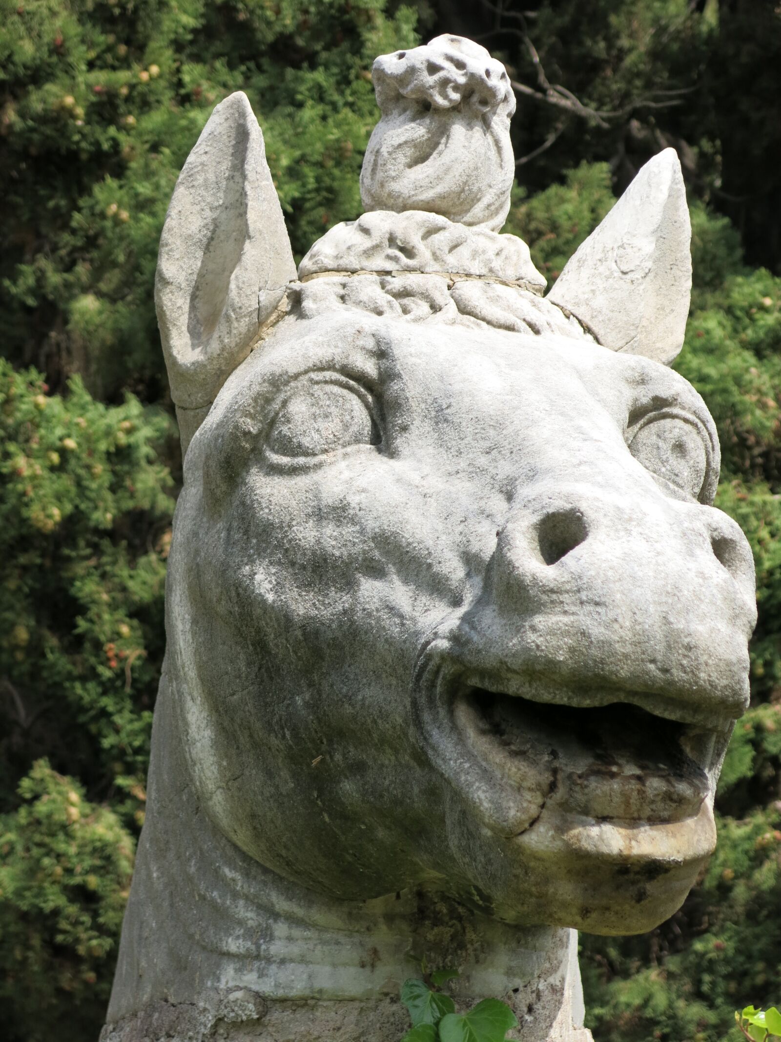 Canon PowerShot G15 sample photo. Italy, rome, spa photography