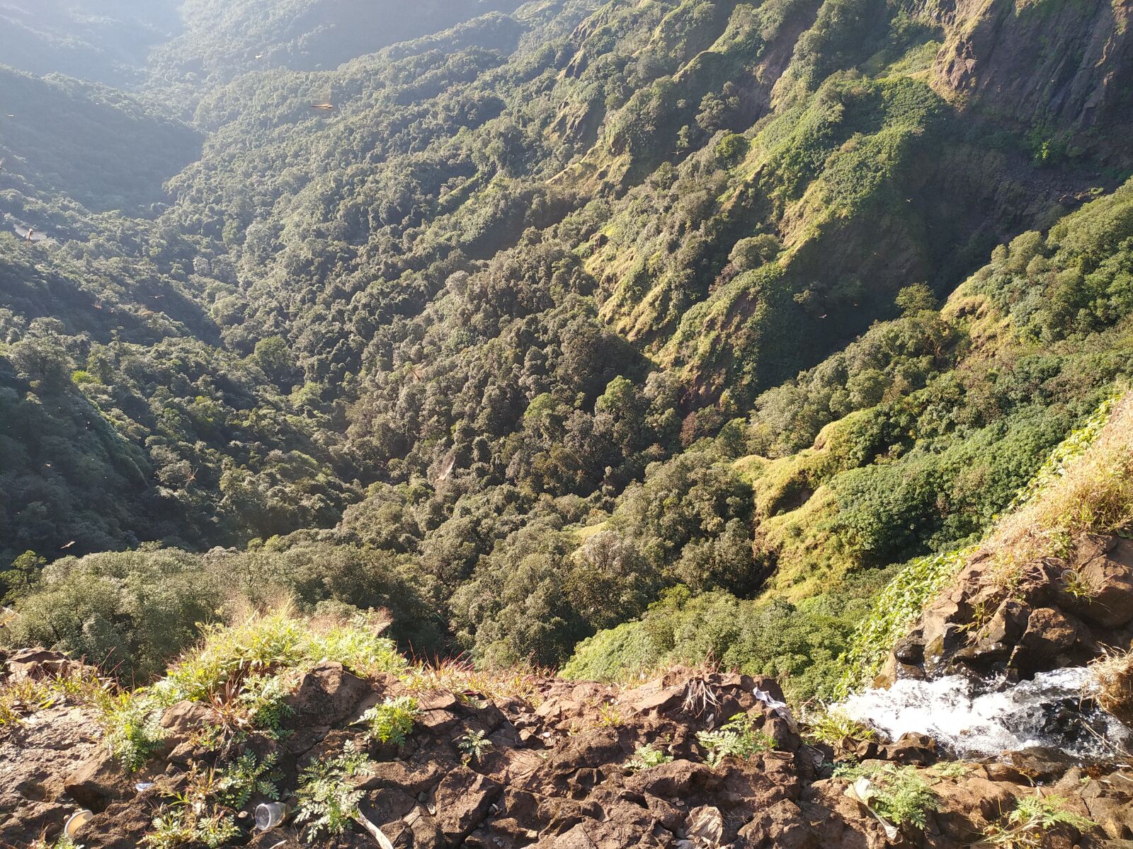 Xiaomi Redmi Note 6 Pro sample photo. Nature, valley, jungle photography