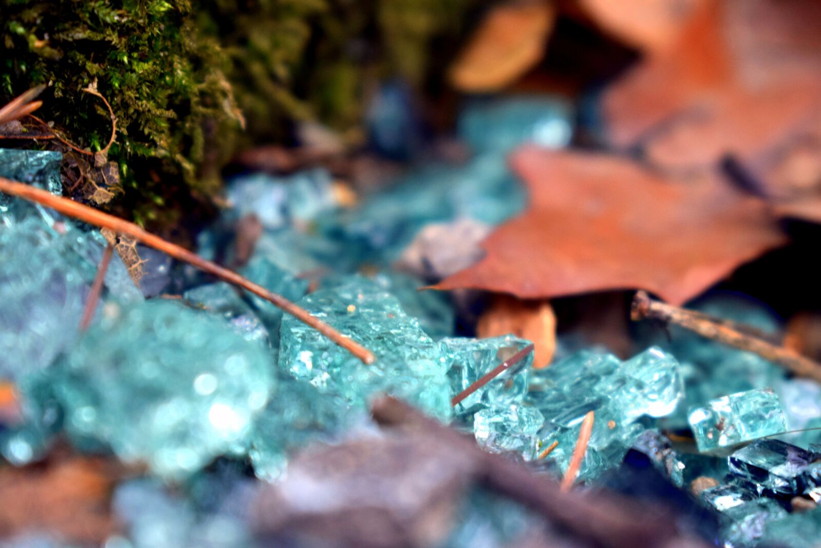 Nikon D3300 sample photo. Moss, glass, nature photography