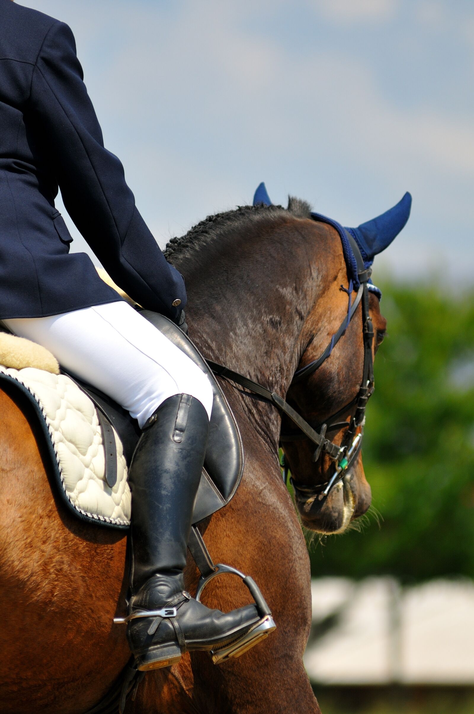 Nikon D300S sample photo. Horse, horse riding, rider photography