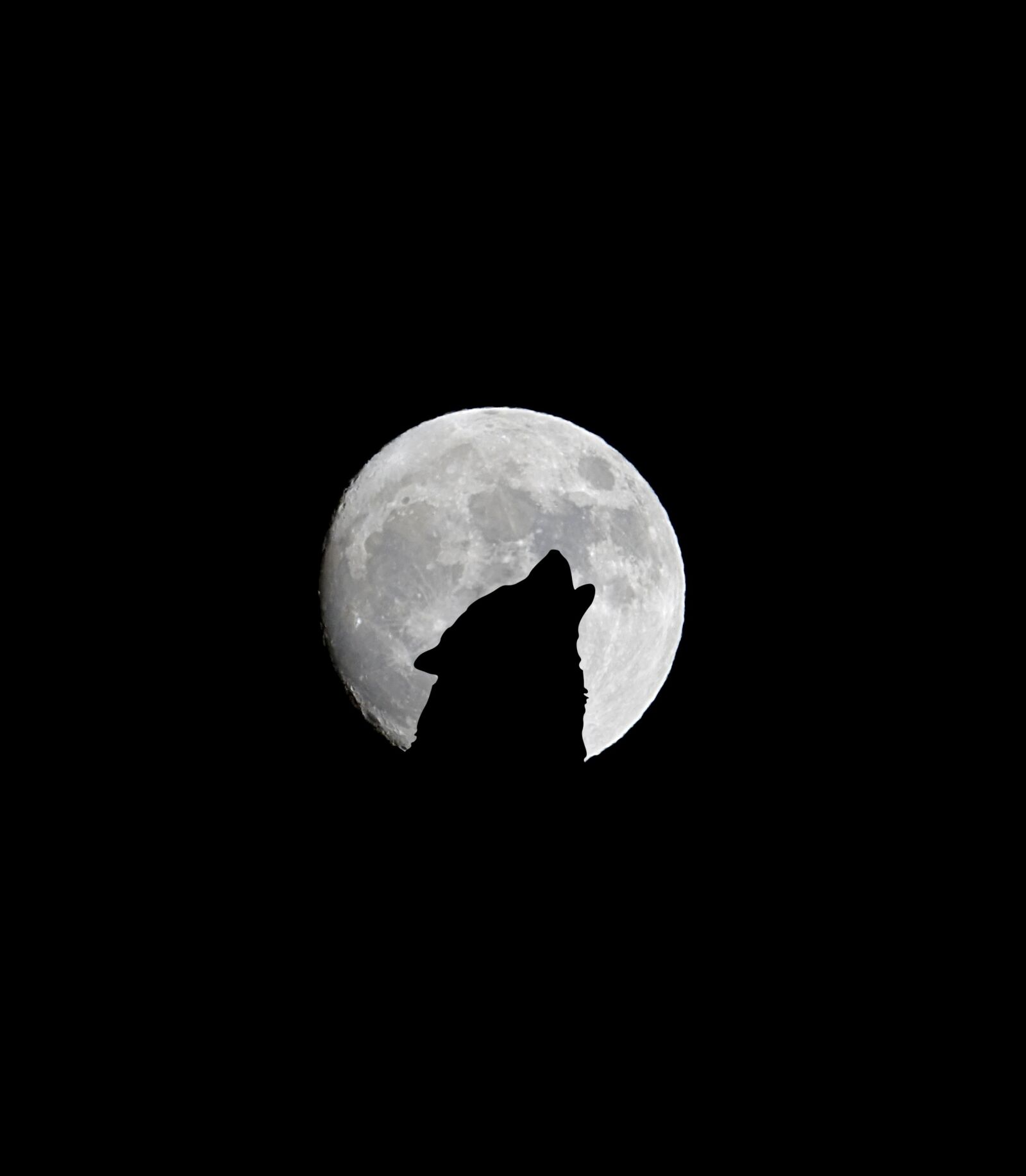 Sony Cyber-shot DSC-RX10 III sample photo. Full moon, moon, dark photography
