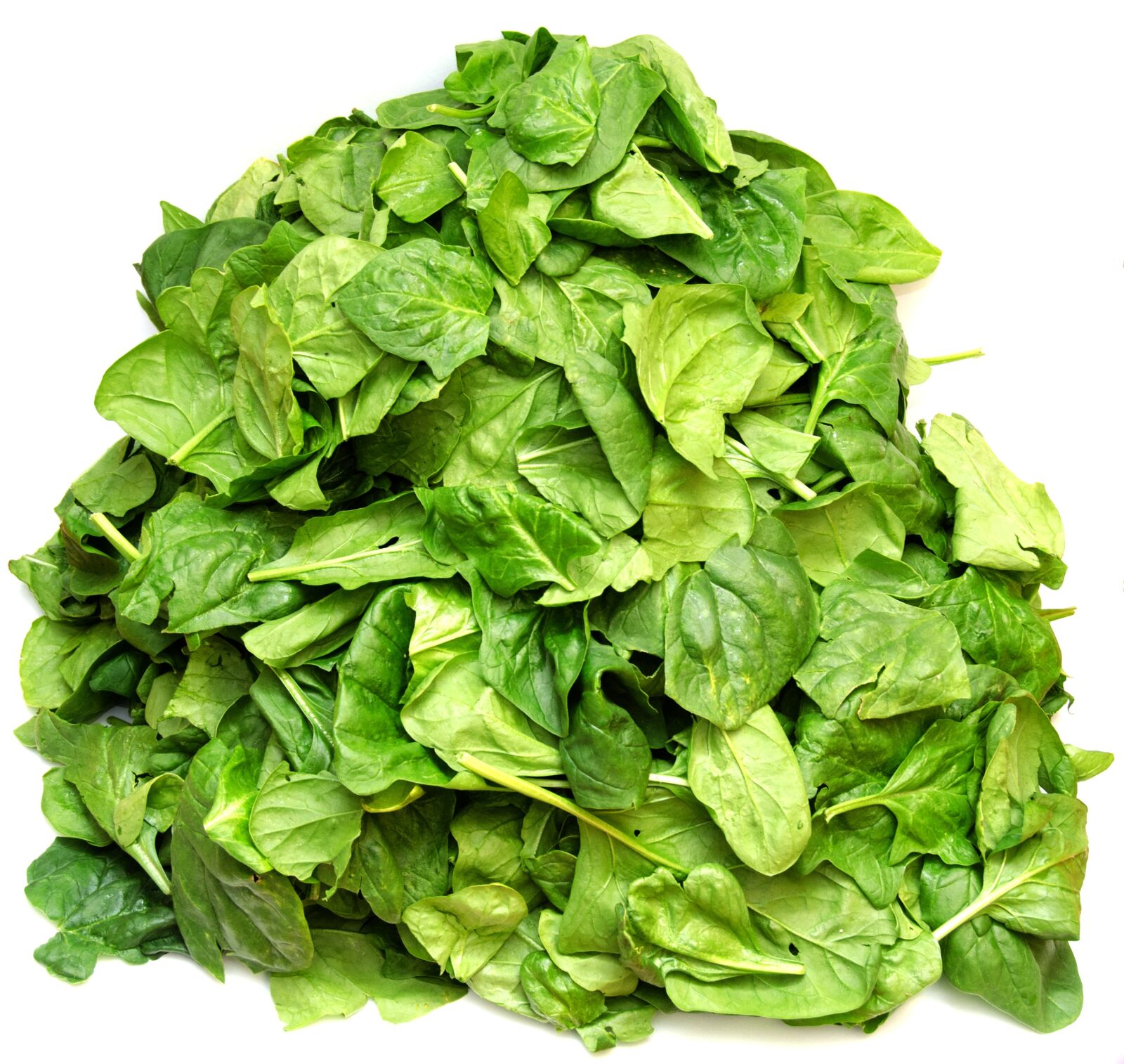 Nikon D5100 sample photo. Spinach, vegetables, green photography