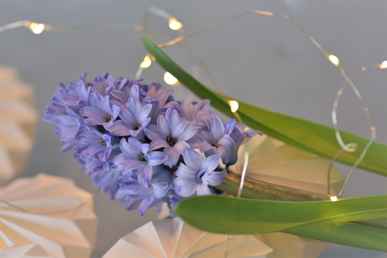 Nikon D5500 sample photo. Decoration, deco, table decorations photography