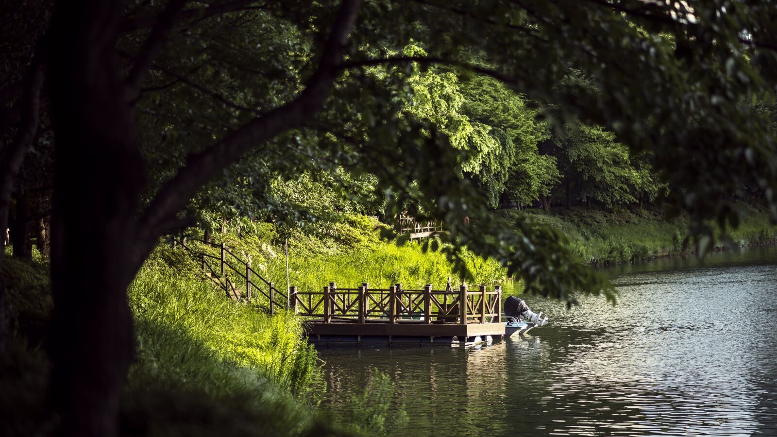 Nikon D810 sample photo. Lake, forest, nature photography
