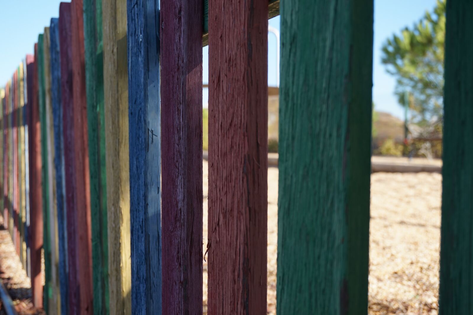 Sony Alpha a5000 (ILCE 5000) sample photo. Fence, colors, wood fence photography