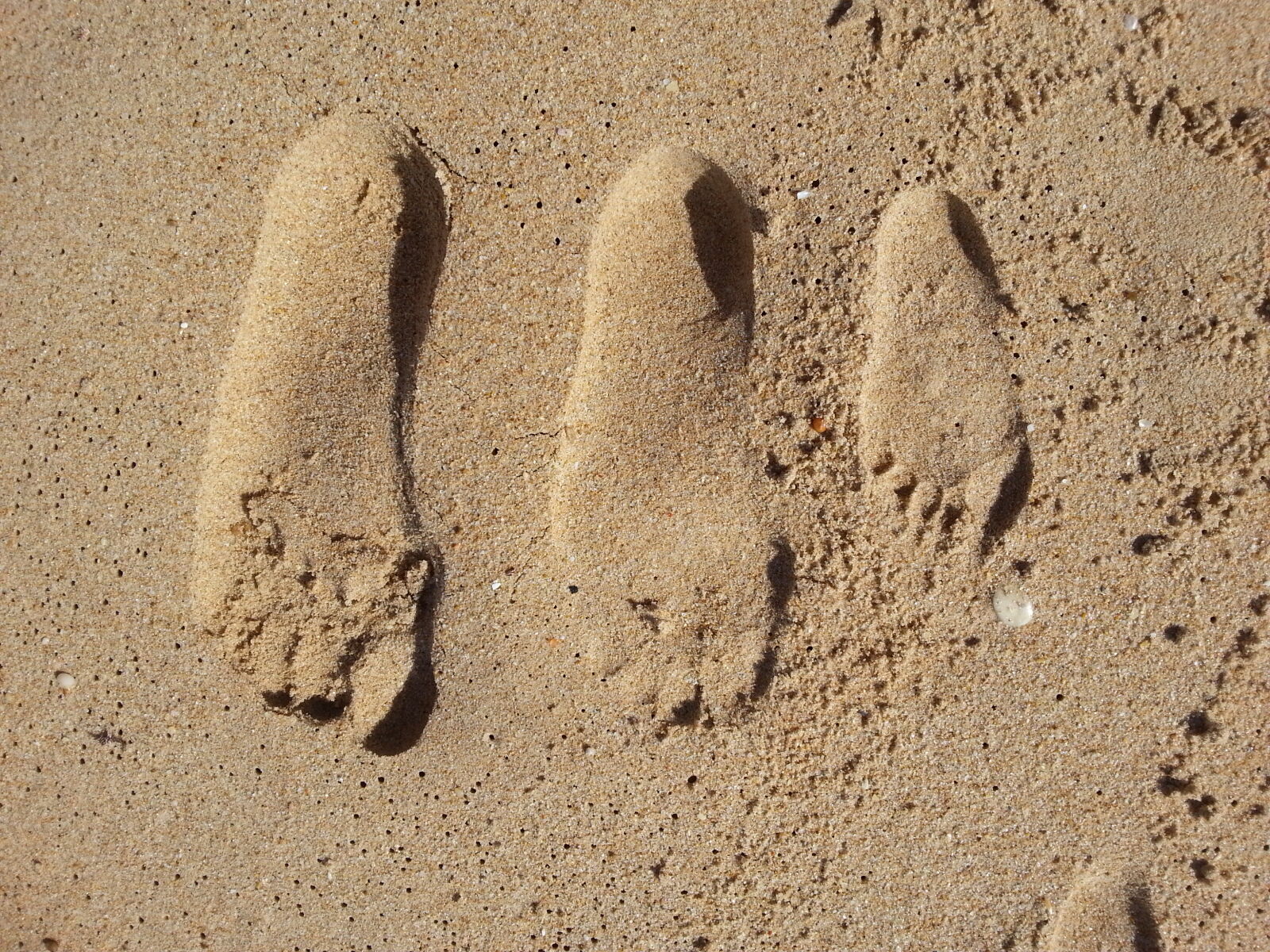 Samsung Galaxy Note2 sample photo