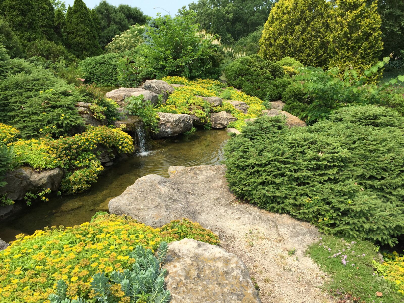 iPhone 6 back camera 4.15mm f/2.2 sample photo. Garden, landscape, asian photography