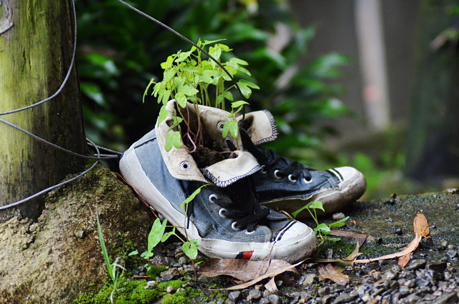 Nikon D5100 sample photo. Shoes, aged, nature photography