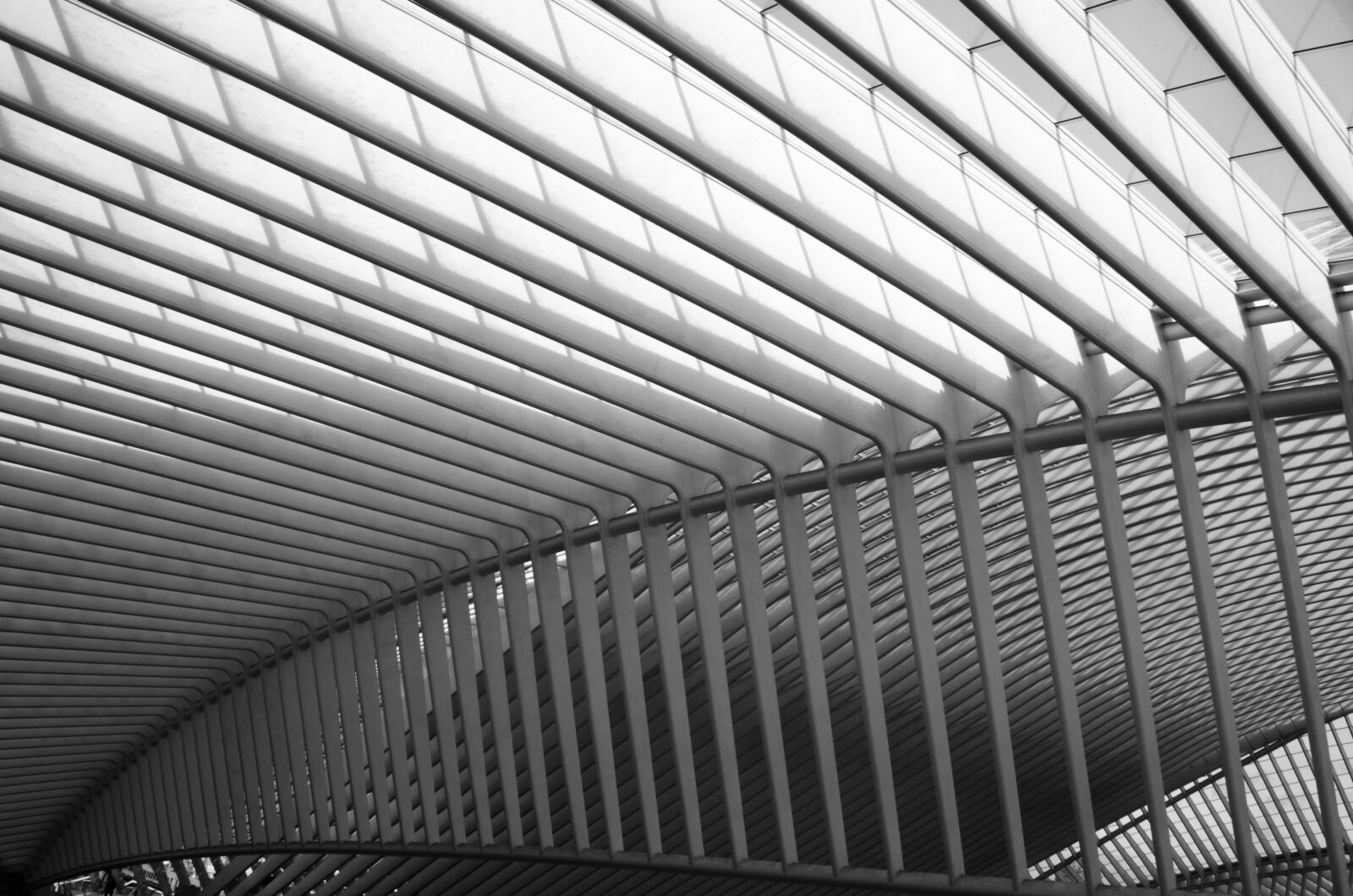 Nikon D5100 sample photo. Architecture, symmetry, building photography